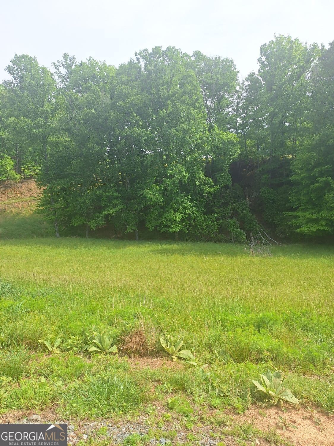 residential lot for sale at LOT 67 Hillside Court, Morganton, GA 30560 — photo 3