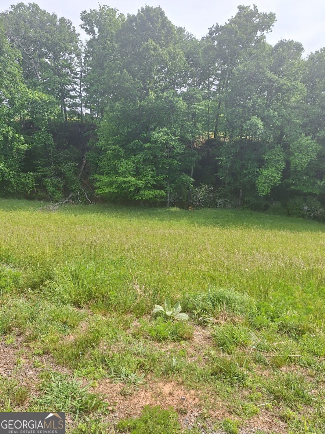 residential lot for sale at LOT 67 Hillside Court, Morganton, GA 30560 — photo 1 of 5