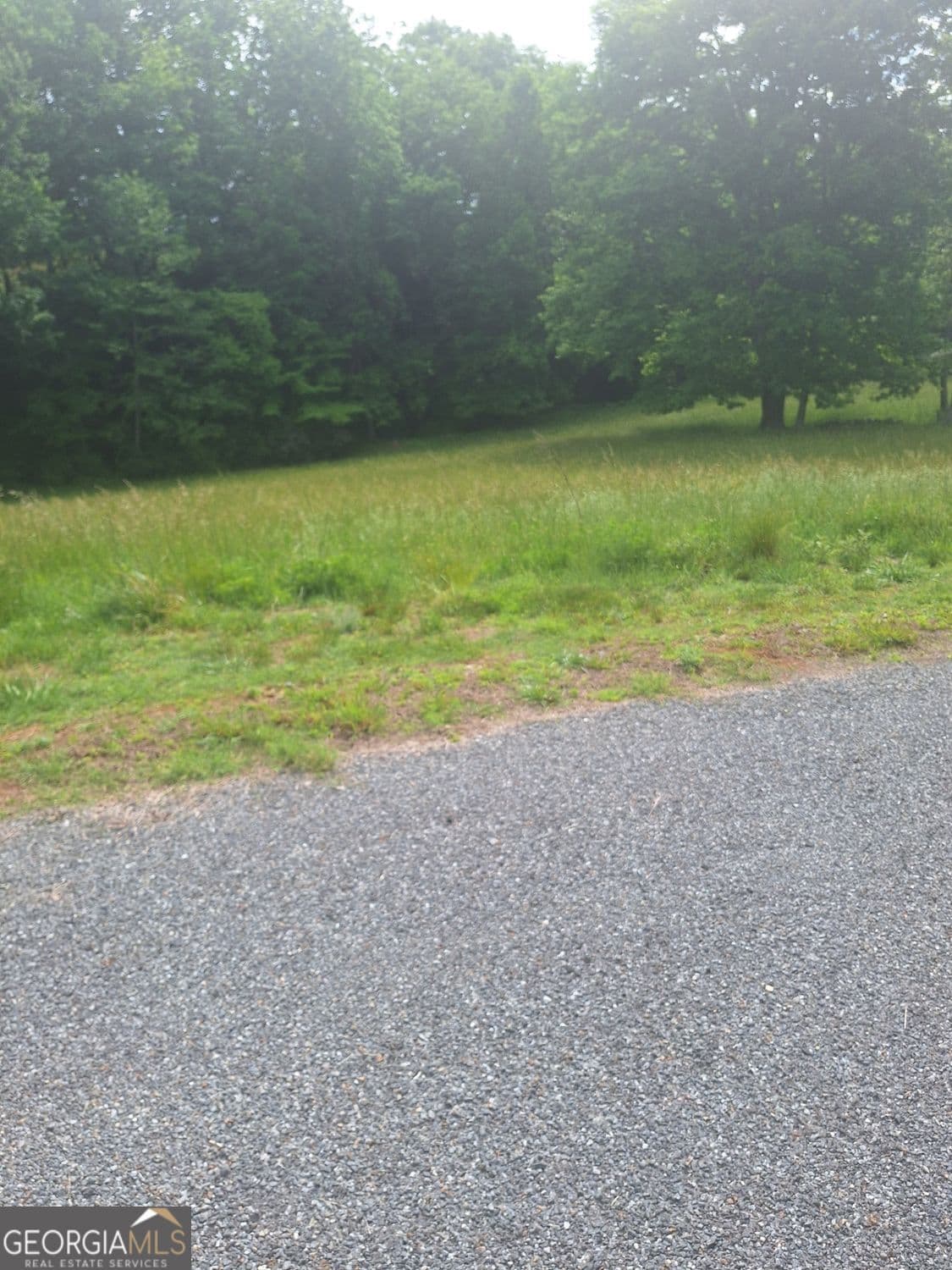 residential lot for sale at LOT 67 Hillside Court, Morganton, GA 30560 — photo 5