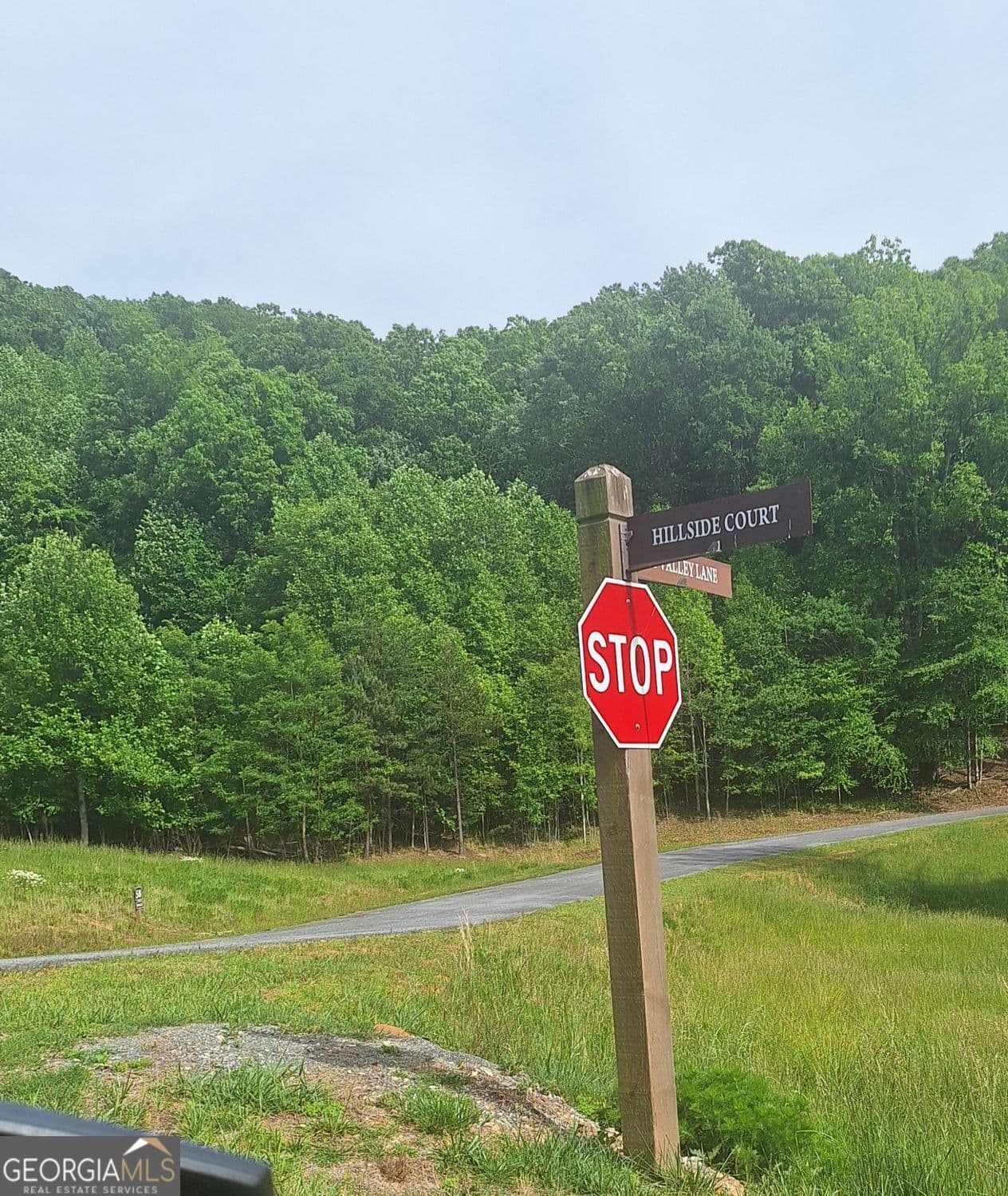 residential lot for sale at LOT 67 Hillside Court, Morganton, GA 30560 — photo 4