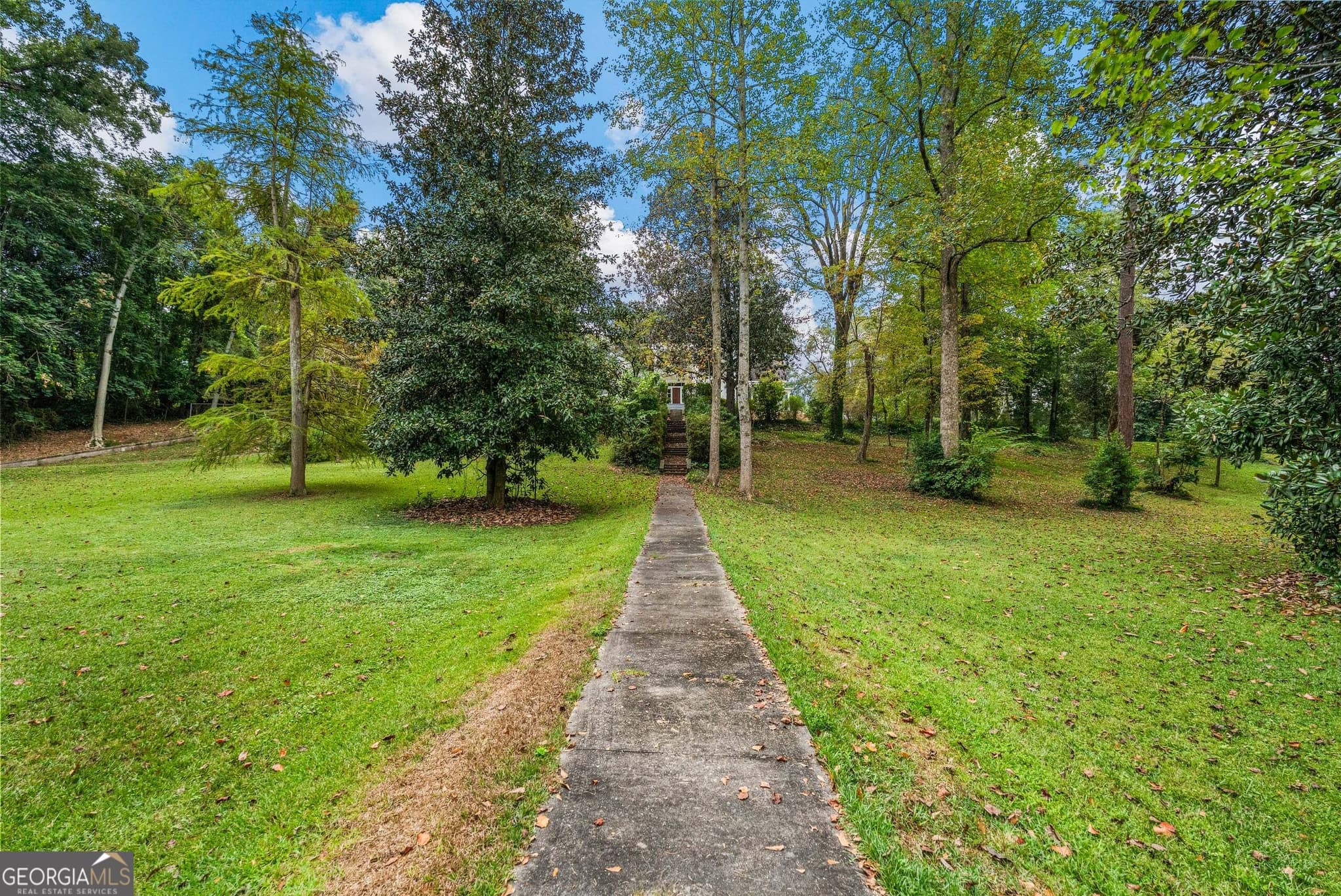6 bedroom, 3 bathroom, 5,313 sq ft single family residence for sale at 248 West Point Street, Roanoke, AL 36274 — photo 3