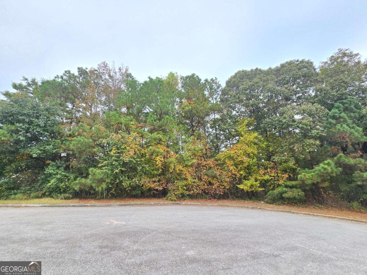 residential lot for sale at 9496 River Chase Court, Winston, GA 30187 — photo 1 of 5