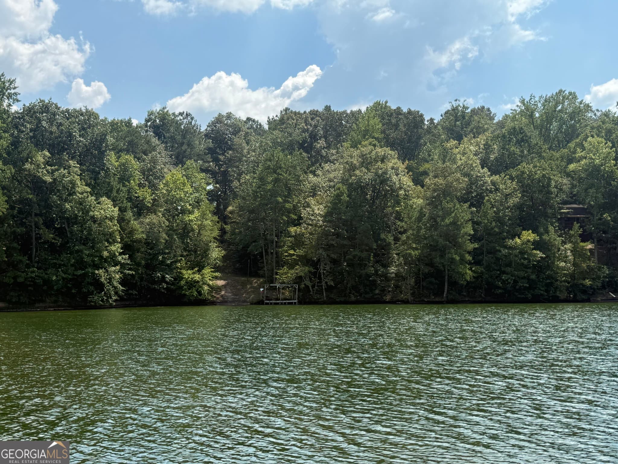 residential lot for sale at 385 Holloway Road, Wedowee, AL 36278 — photo 2