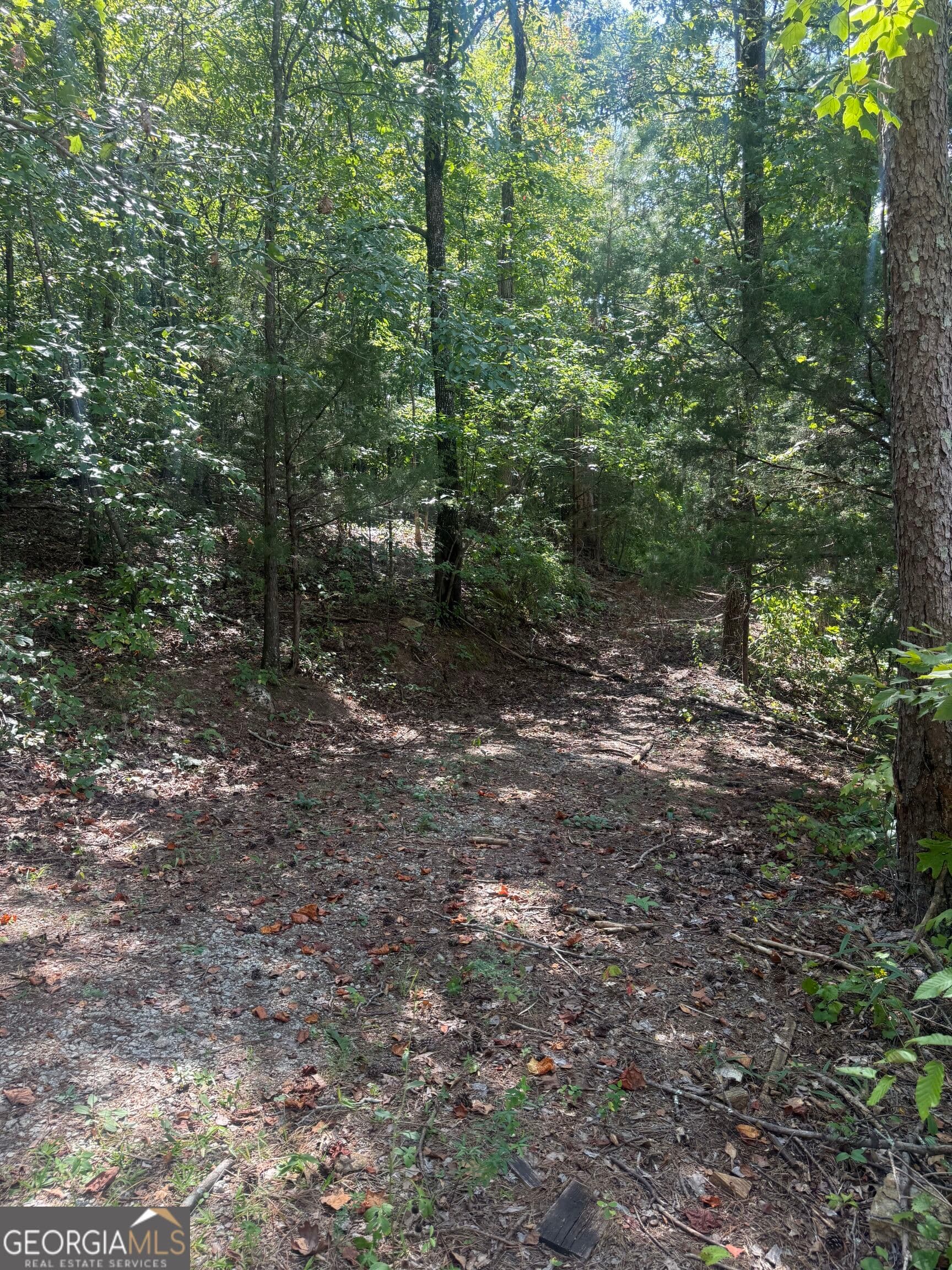 residential lot for sale at 385 Holloway Road, Wedowee, AL 36278 — photo 6