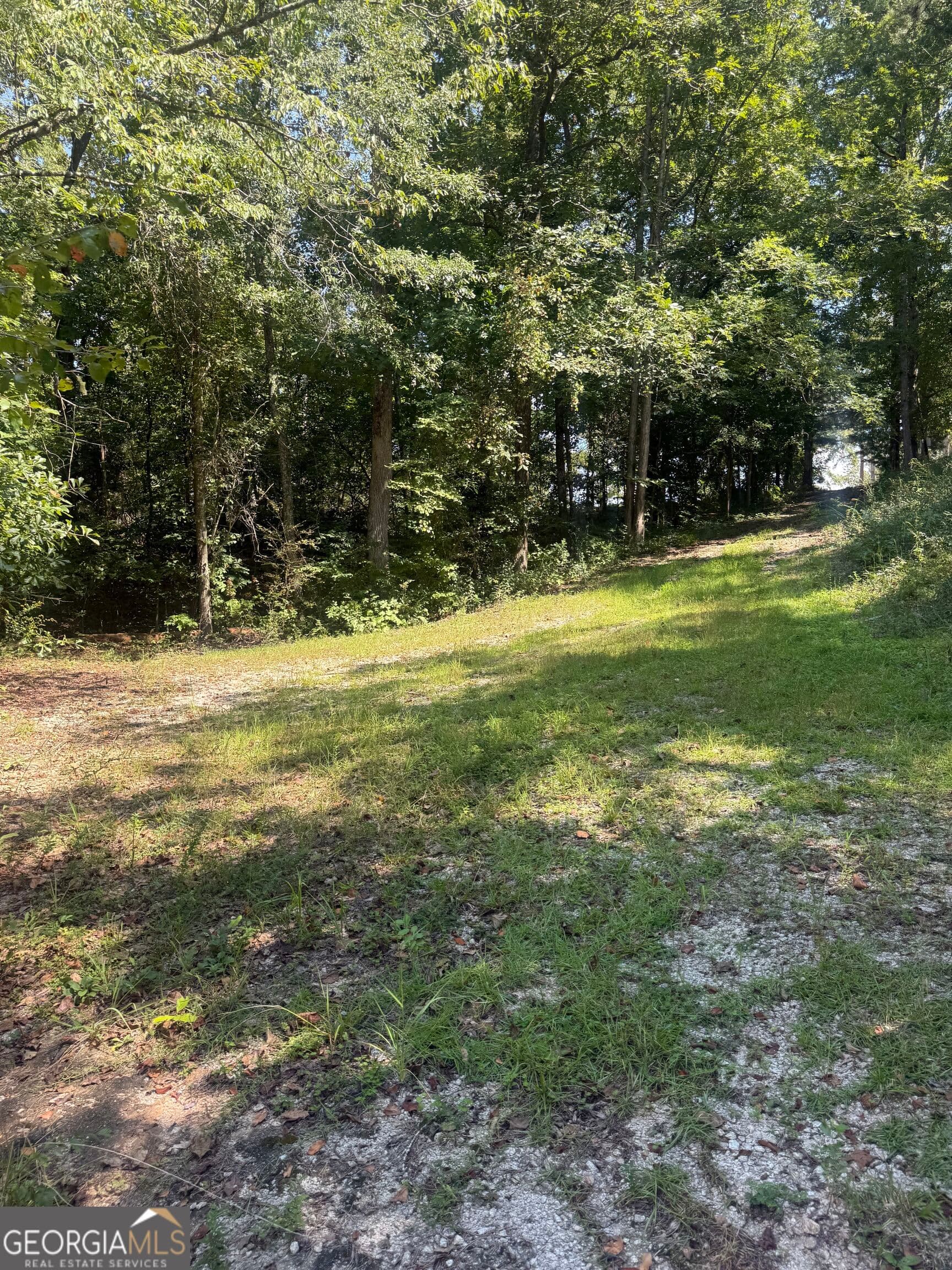 residential lot for sale at 385 Holloway Road, Wedowee, AL 36278 — photo 7