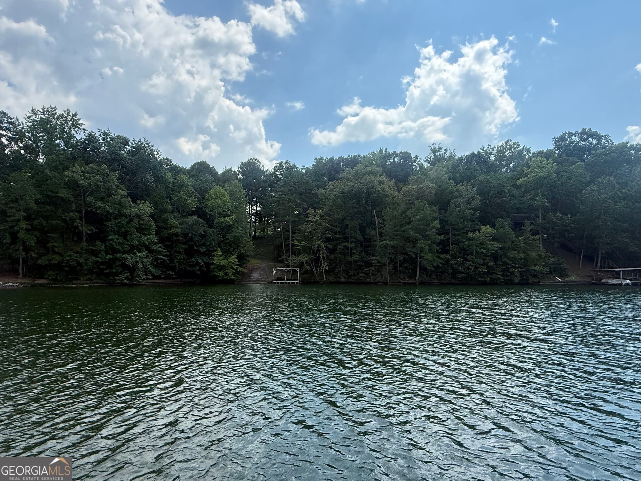 residential lot for sale at 385 Holloway Road, Wedowee, AL 36278 — photo 3