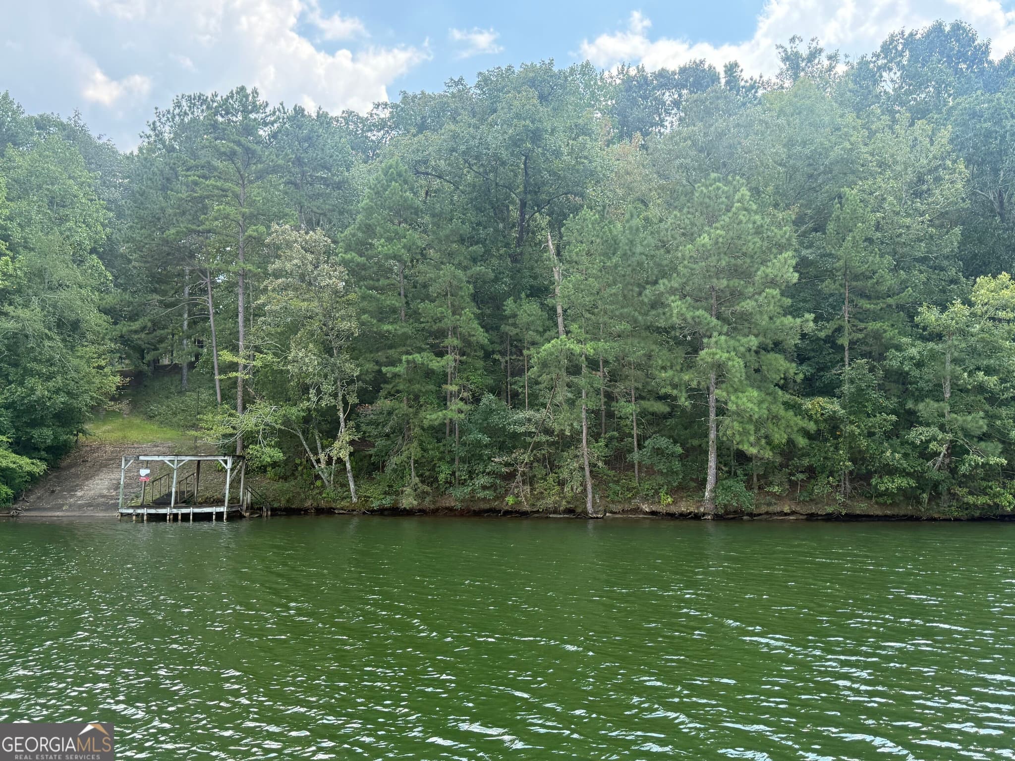 residential lot for sale at 385 Holloway Road, Wedowee, AL 36278 — photo 4