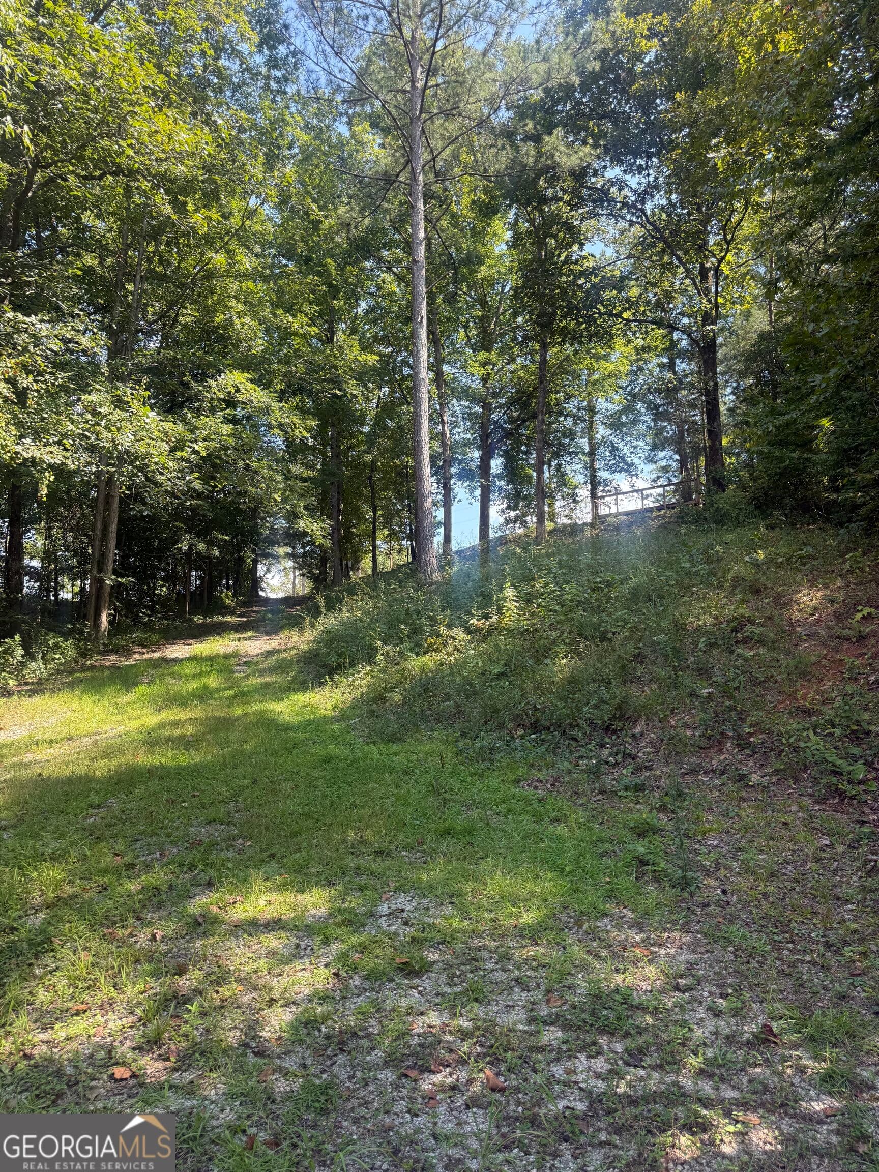 residential lot for sale at 385 Holloway Road, Wedowee, AL 36278 — photo 8