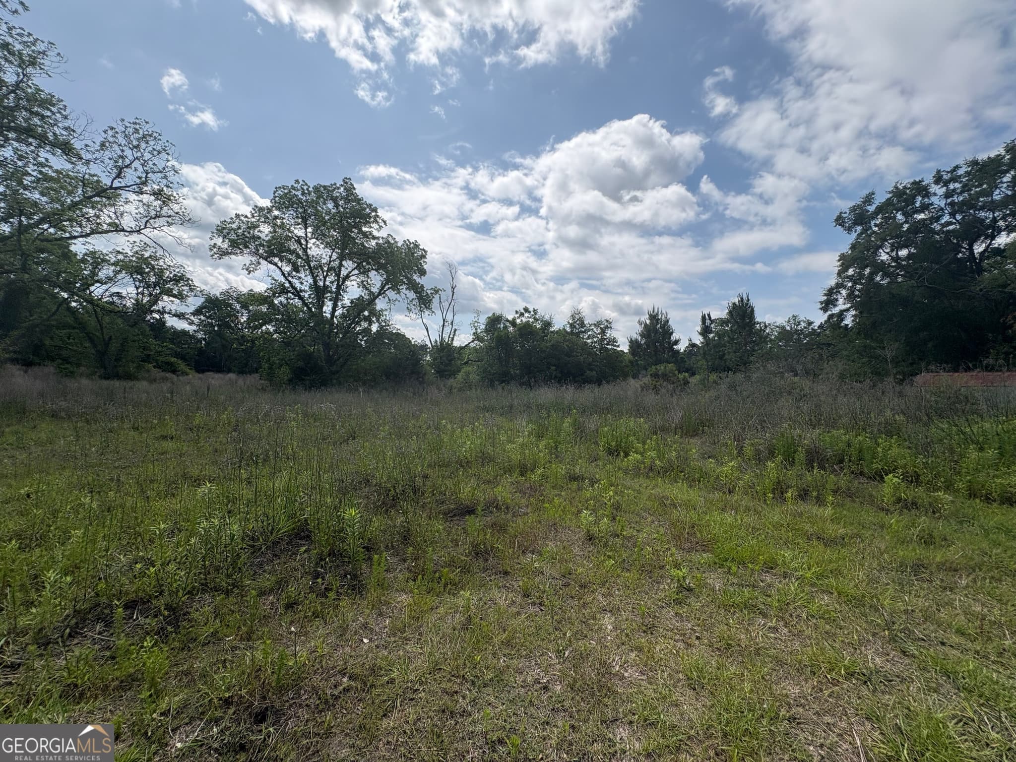 agriculture for sale at 0 East Road, Fitzgerald, GA 31750 — photo 2