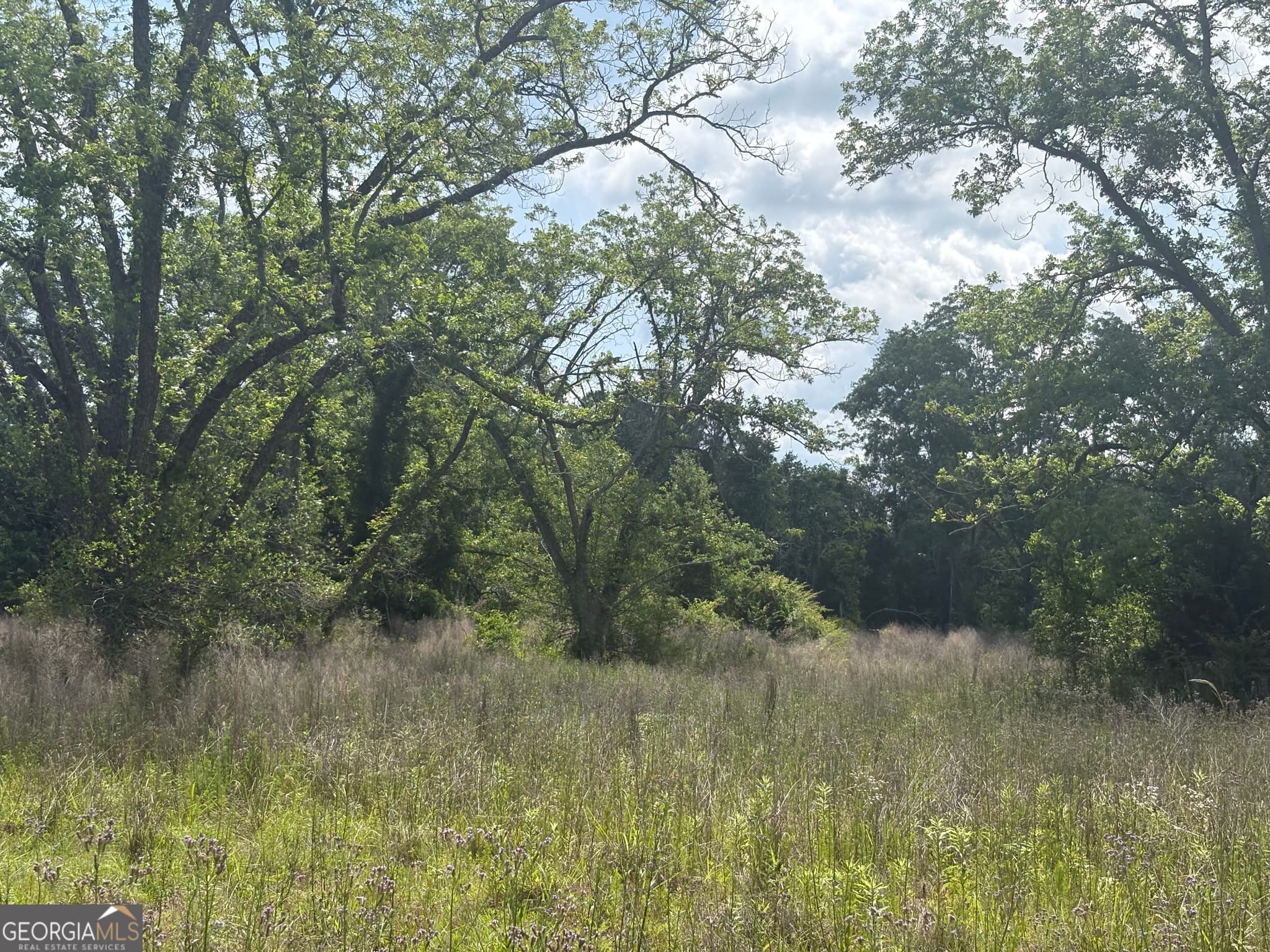 agriculture for sale at 0 East Road, Fitzgerald, GA 31750 — photo 3