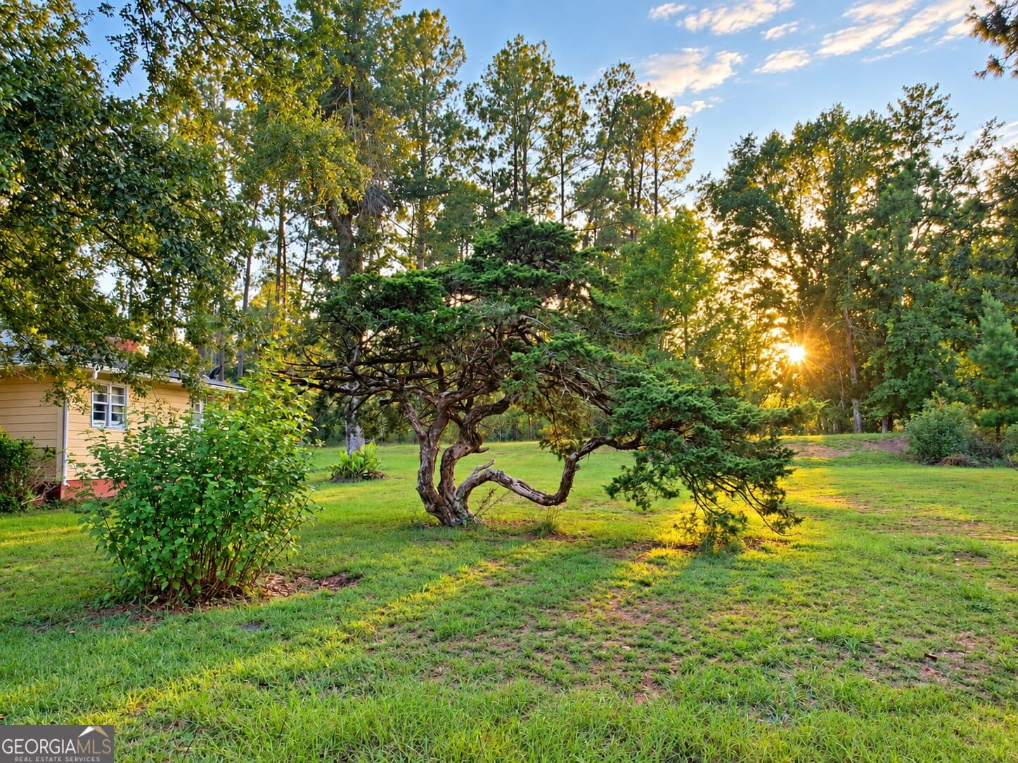 3 bedroom, 1 bathroom, 1,760 sq ft single family residence for sale at 709 Bob Sharpe Road, Vidalia, GA 30474 — photo 6