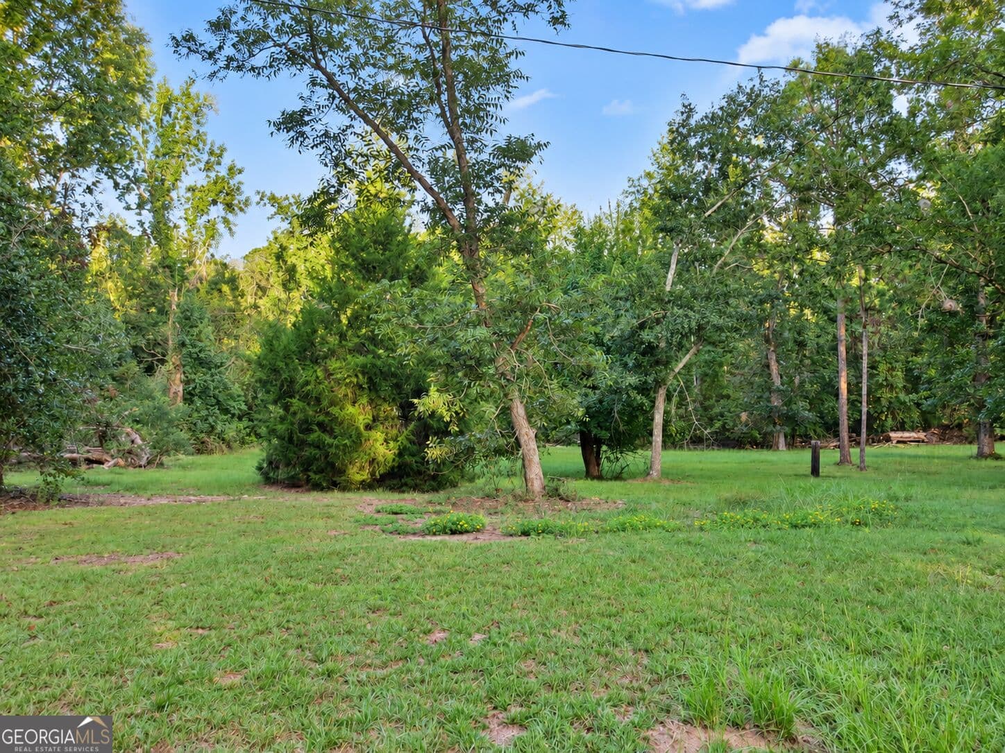 3 bedroom, 1 bathroom, 1,760 sq ft single family residence for sale at 709 Bob Sharpe Road, Vidalia, GA 30474 — photo 7