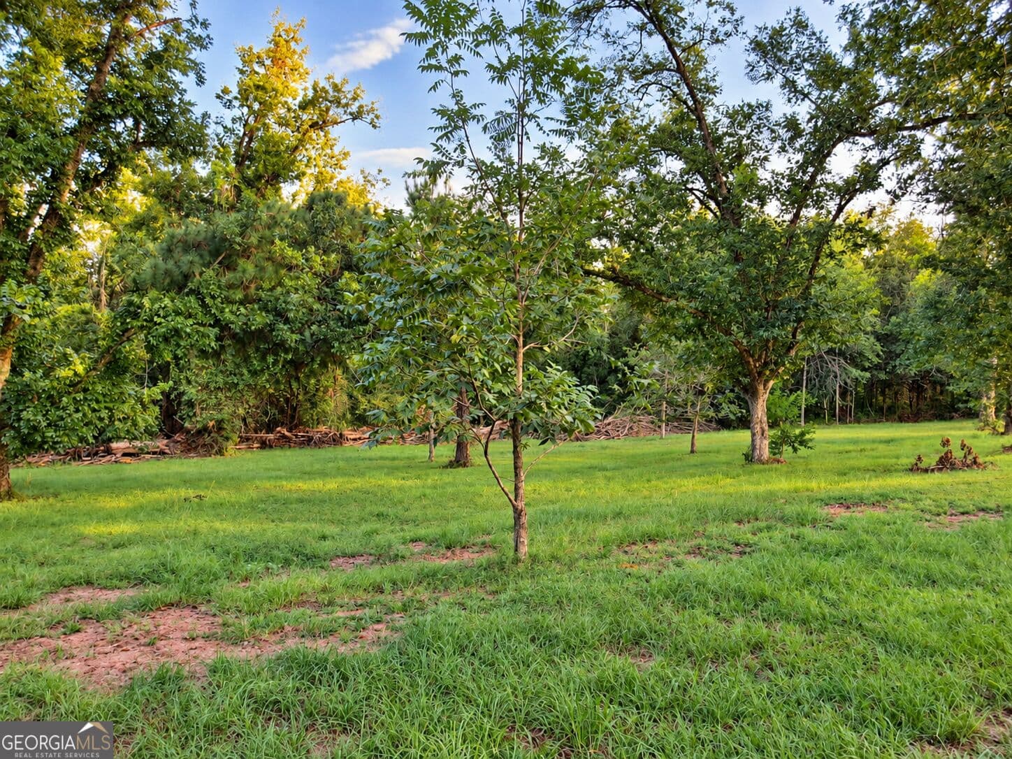 3 bedroom, 1 bathroom, 1,760 sq ft single family residence for sale at 709 Bob Sharpe Road, Vidalia, GA 30474 — photo 5