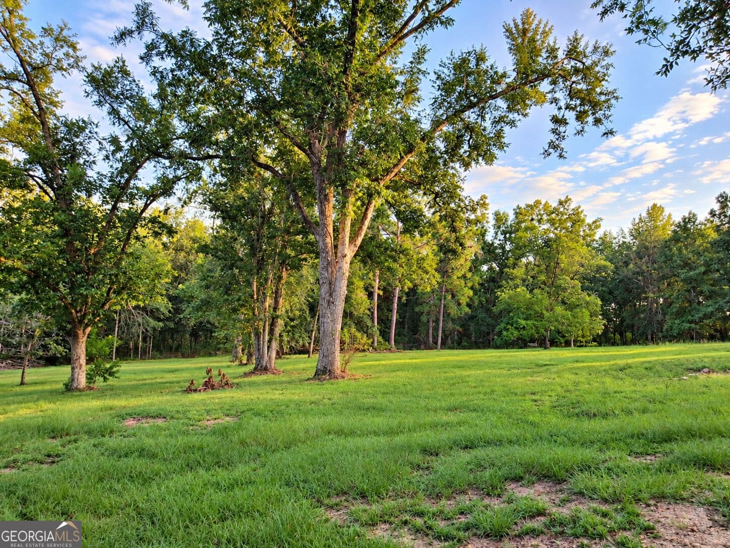 3 bedroom, 1 bathroom, 1,760 sq ft single family residence for sale at 709 Bob Sharpe Road, Vidalia, GA 30474 — photo 4