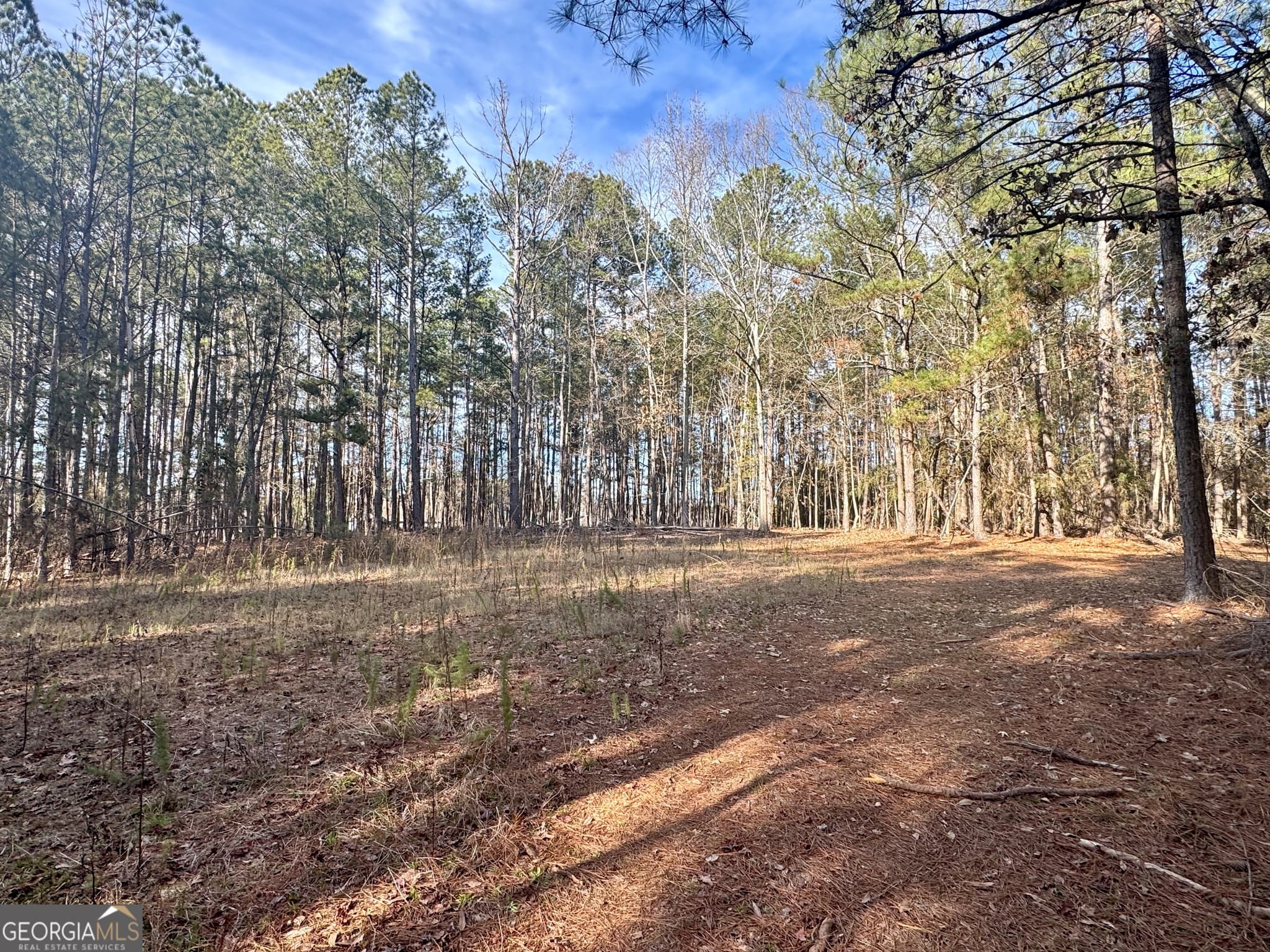 residential lot for sale at 0 Claude Brewer Road, Loganville, GA 30052 — photo 6