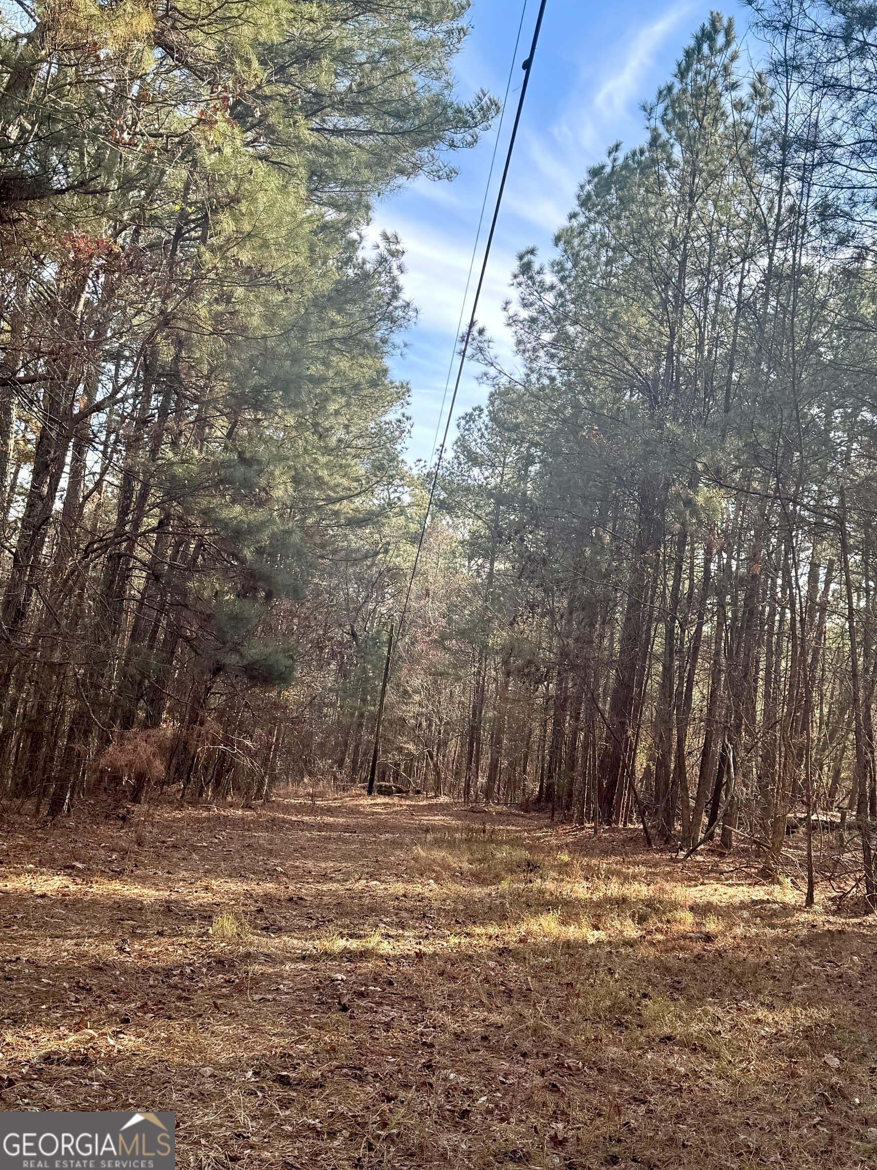 residential lot for sale at 0 Claude Brewer Road, Loganville, GA 30052 — photo 8