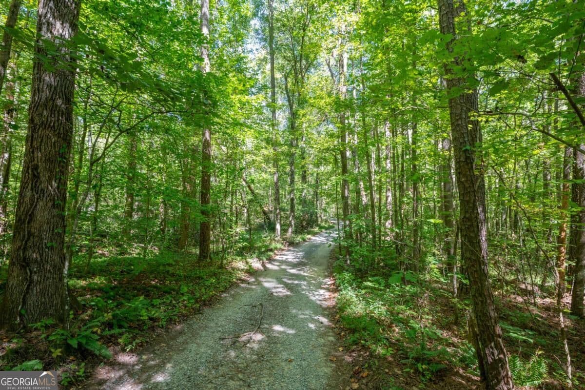 3 bedroom, 4 bathroom, 2,224 sq ft cabin,single family residence for sale at 857 Talking Rock Falls, Jasper, GA 30143 — photo 9