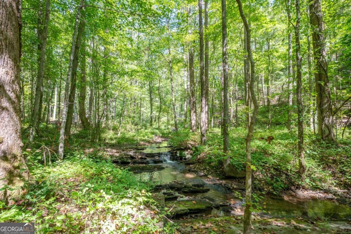 3 bedroom, 4 bathroom, 2,224 sq ft cabin,single family residence for sale at 857 Talking Rock Falls, Jasper, GA 30143 — photo 10