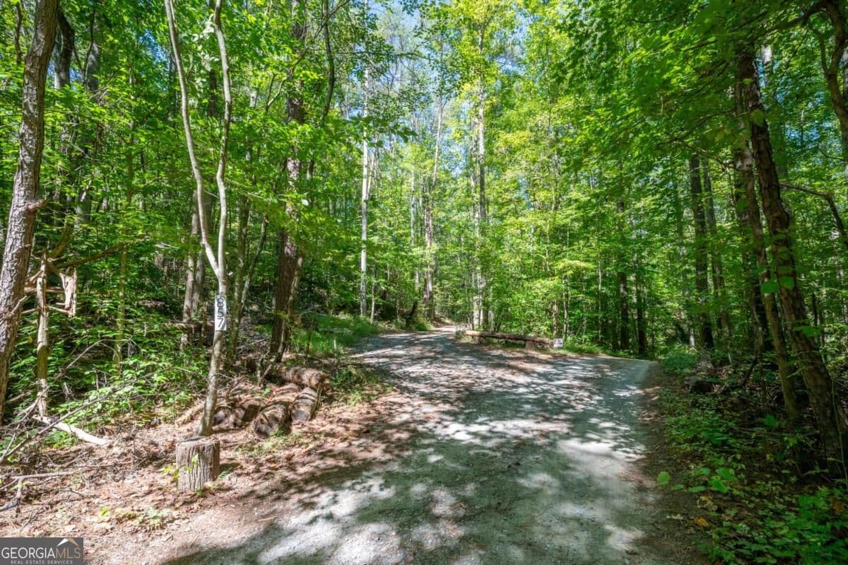 3 bedroom, 4 bathroom, 2,224 sq ft cabin,single family residence for sale at 857 Talking Rock Falls, Jasper, GA 30143 — photo 8