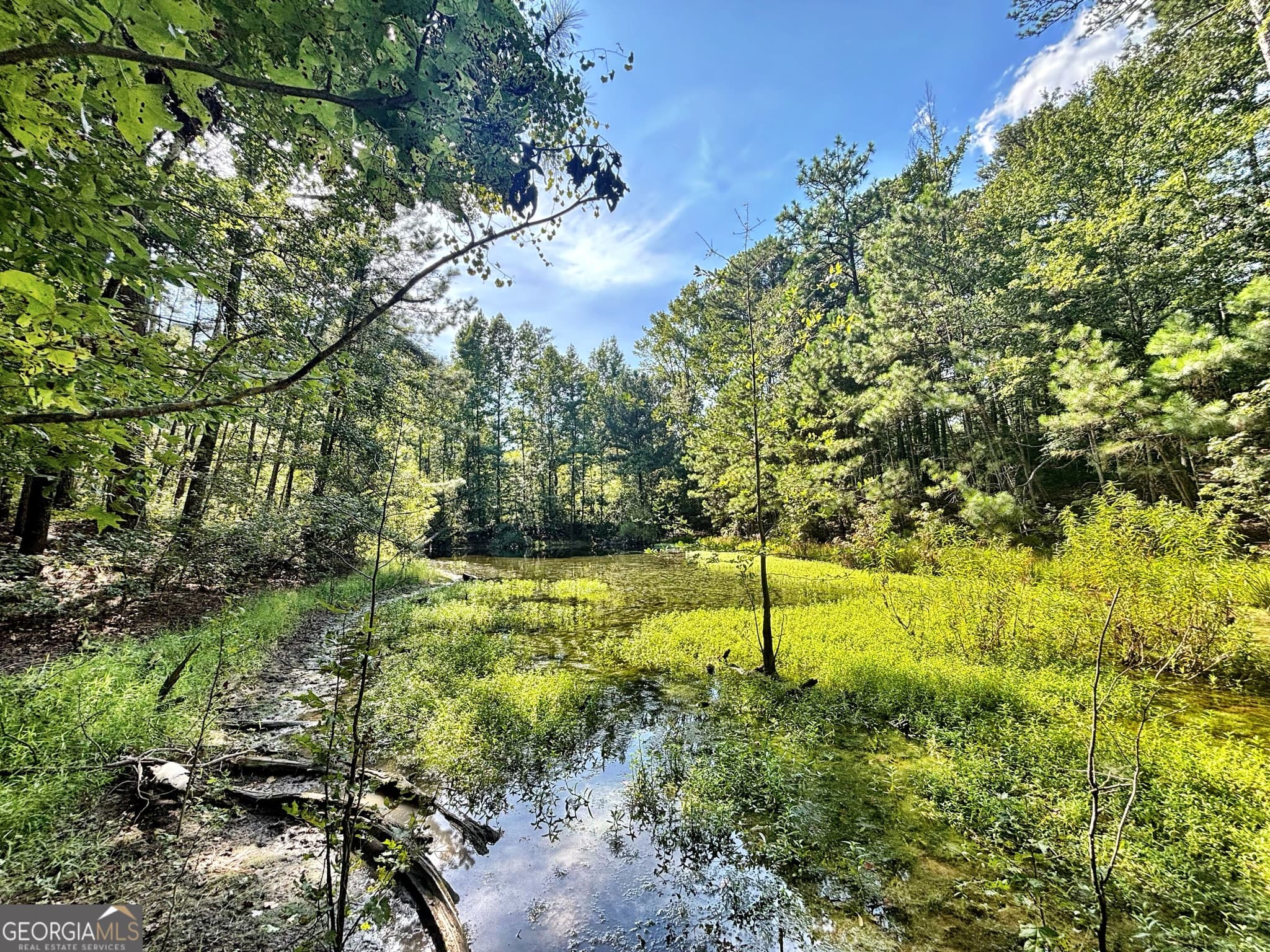 unimproved land for sale at 1721 Hwy 49, Byron, GA 31008 — photo 2
