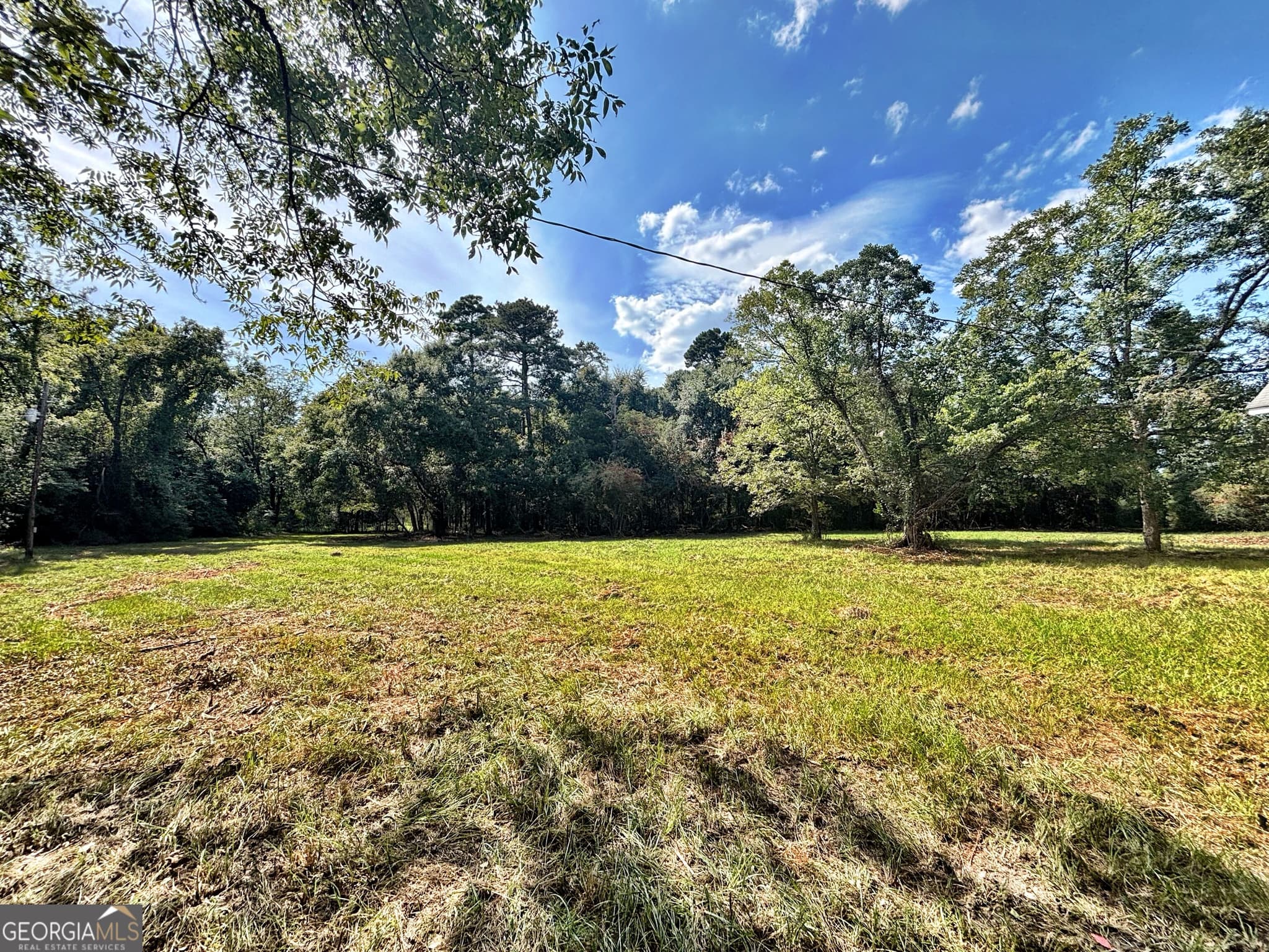 unimproved land for sale at 1721 Hwy 49, Byron, GA 31008 — photo 6