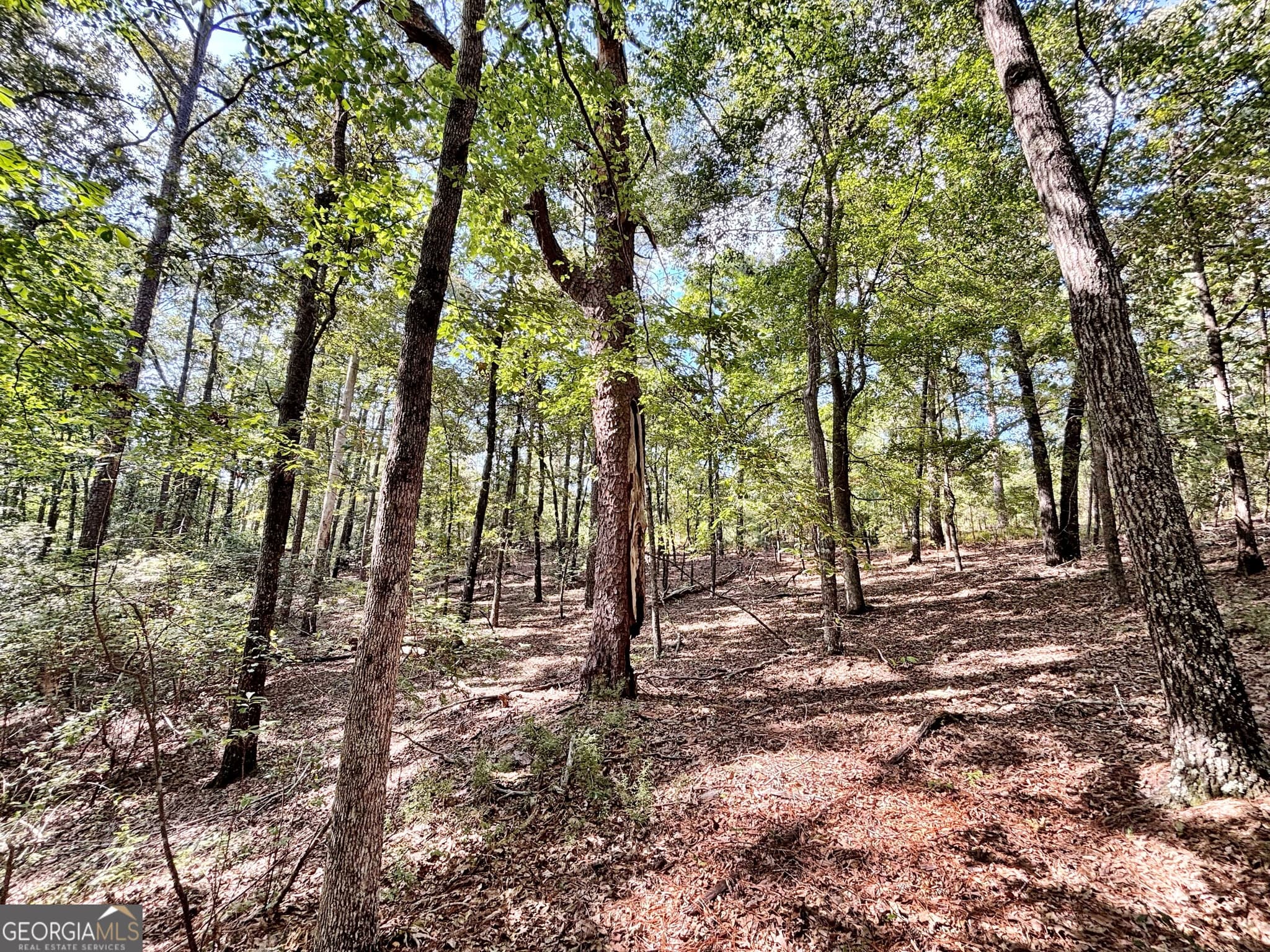 unimproved land for sale at 1721 Hwy 49, Byron, GA 31008 — photo 7