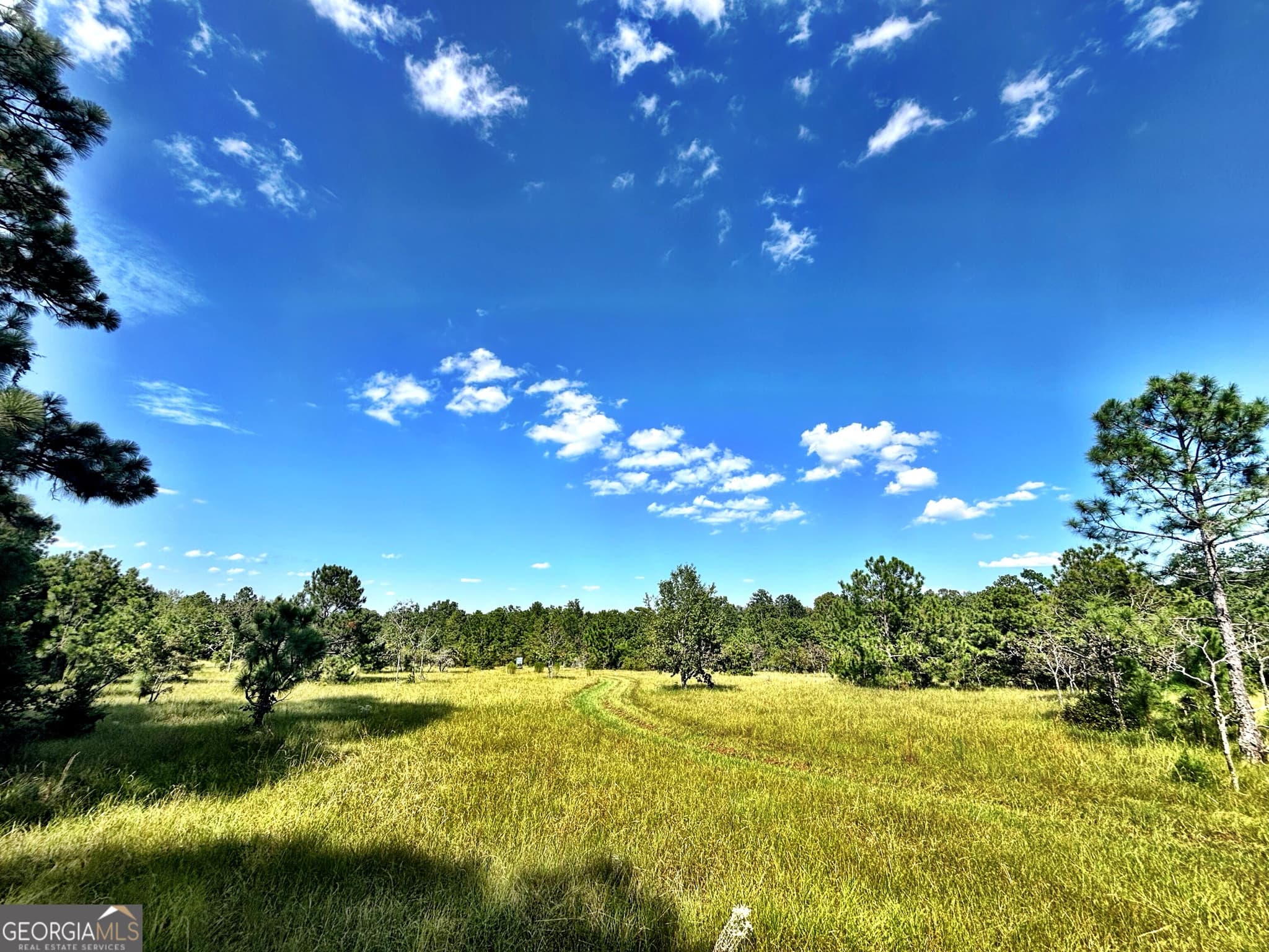 unimproved land for sale at 1721 Hwy 49, Byron, GA 31008 — photo 1 of 35