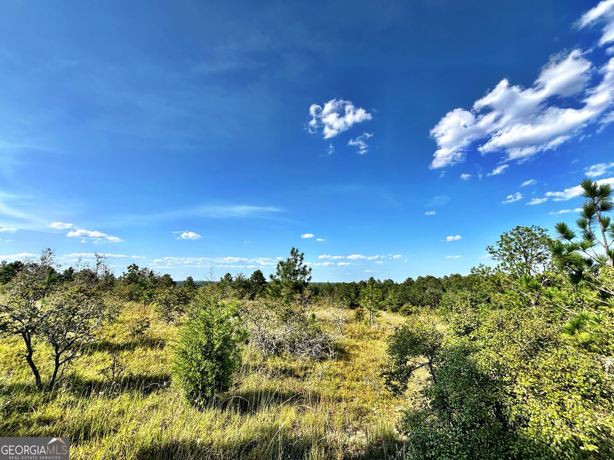 unimproved land for sale at 1721 Hwy 49, Byron, GA 31008 — photo 5