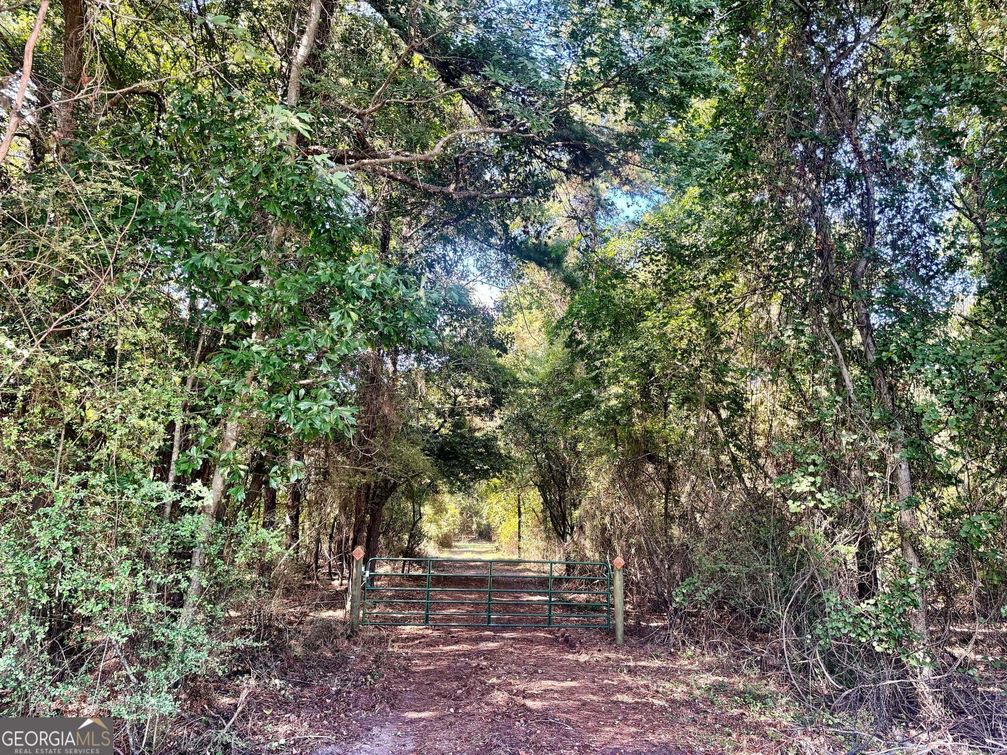 unimproved land for sale at 1721 Hwy 49, Byron, GA 31008 — photo 9