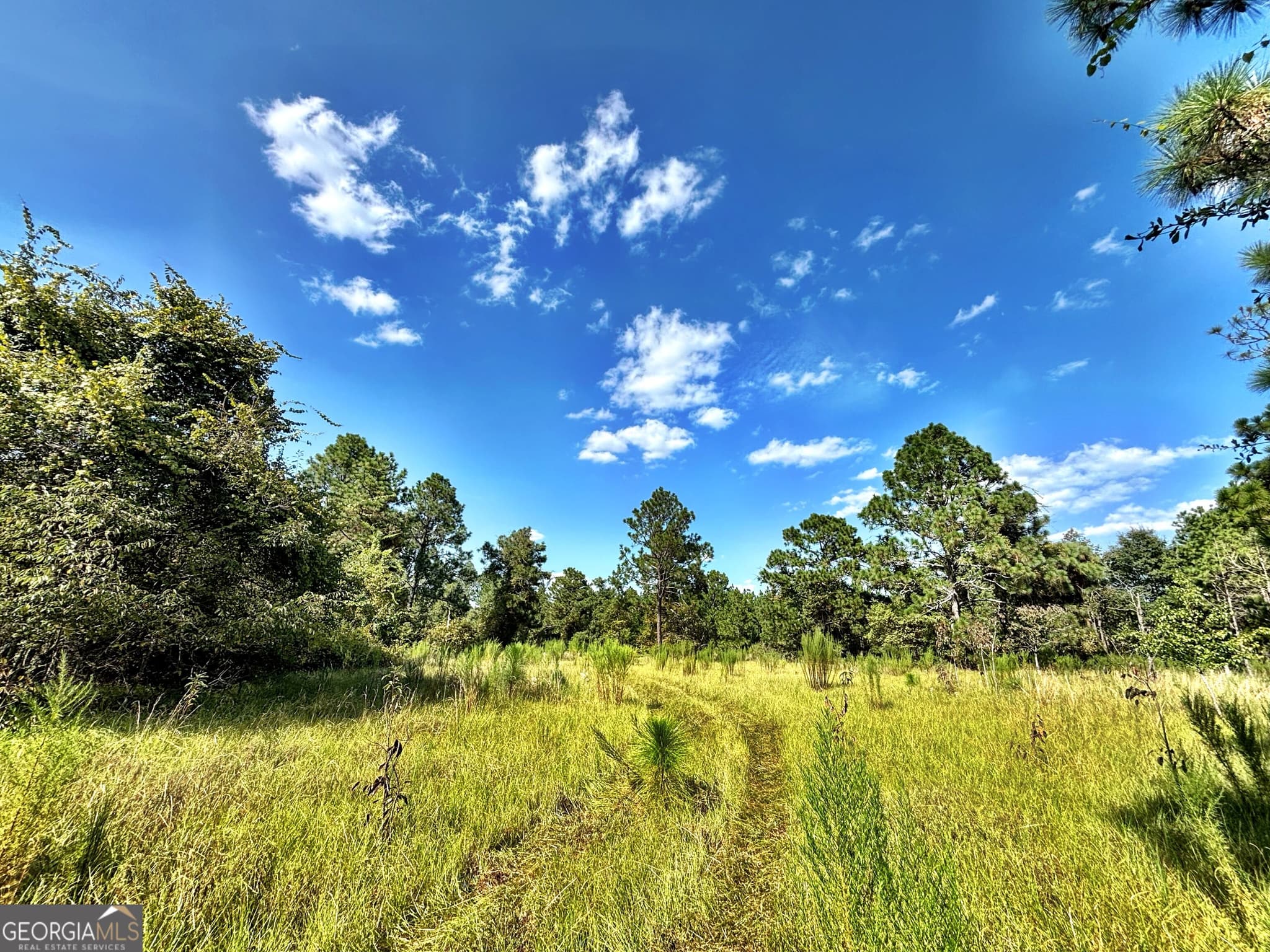 unimproved land for sale at 1721 Hwy 49, Byron, GA 31008 — photo 10