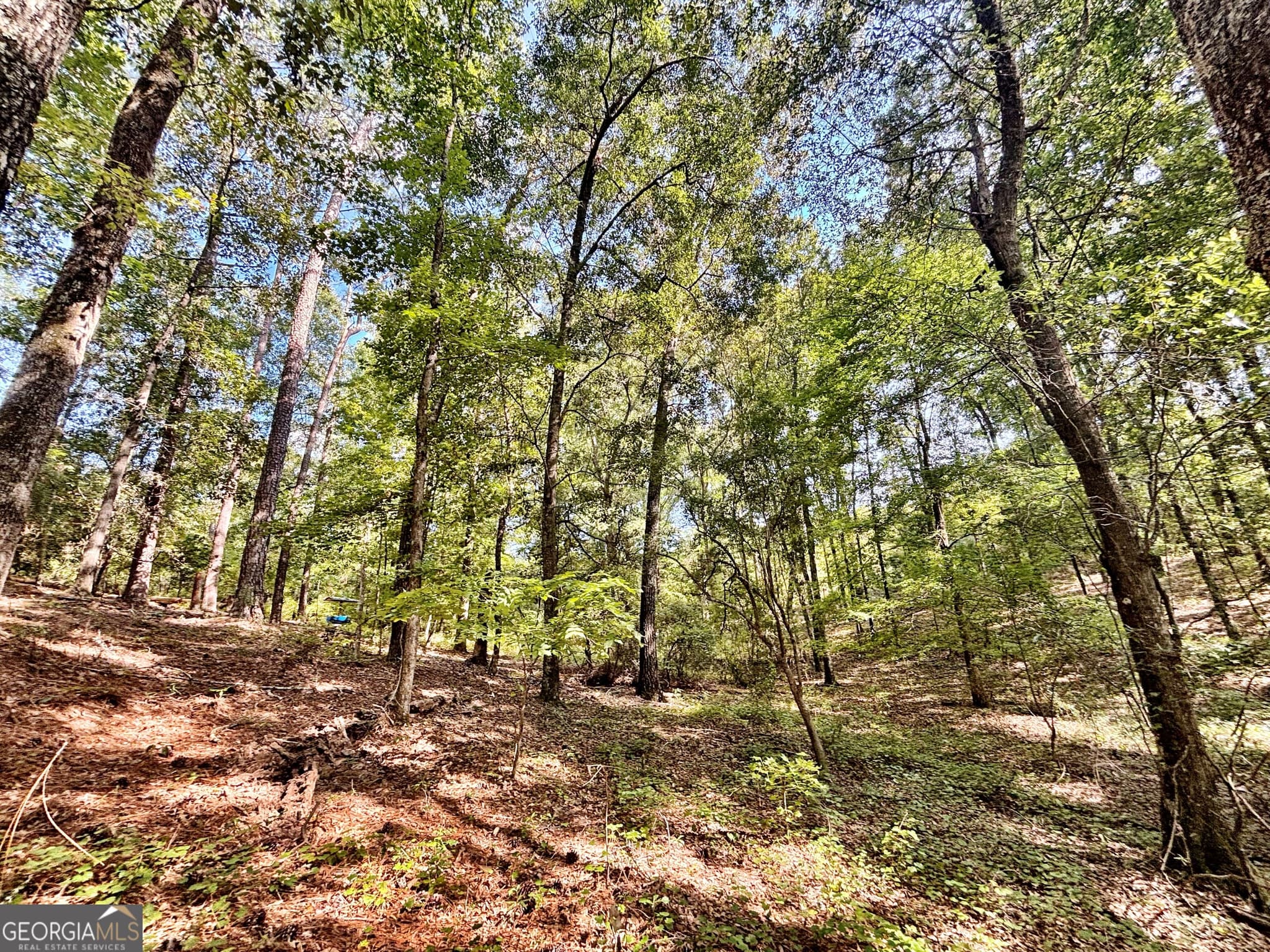unimproved land for sale at 1721 Hwy 49, Byron, GA 31008 — photo 4