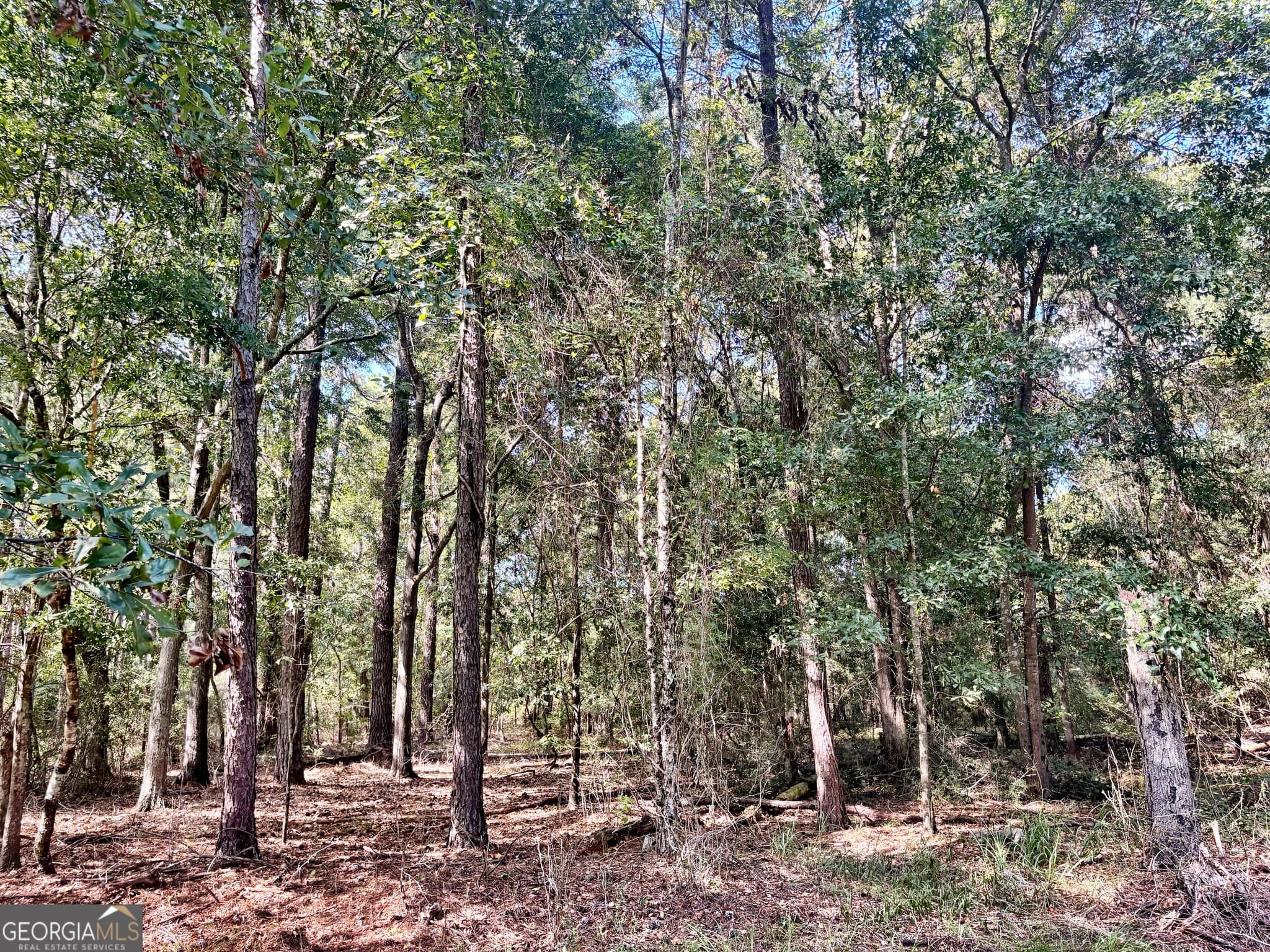 unimproved land for sale at 1721 Hwy 49, Byron, GA 31008 — photo 8