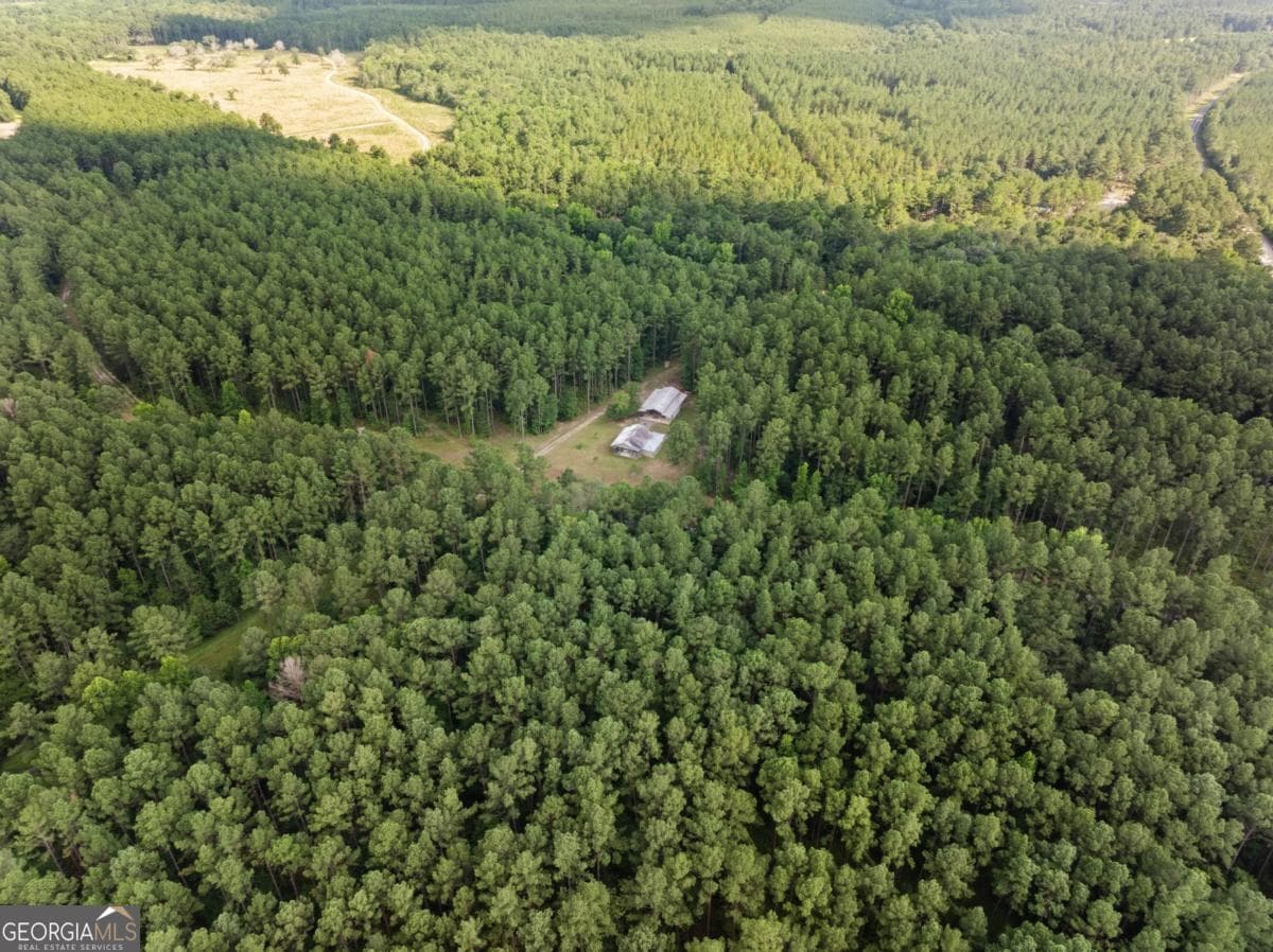 3 bedroom, 2 bathroom, 1,533 sq ft cabin,single family residence for sale at 13320 Sunbury Road, Claxton, GA 30417 — photo 6