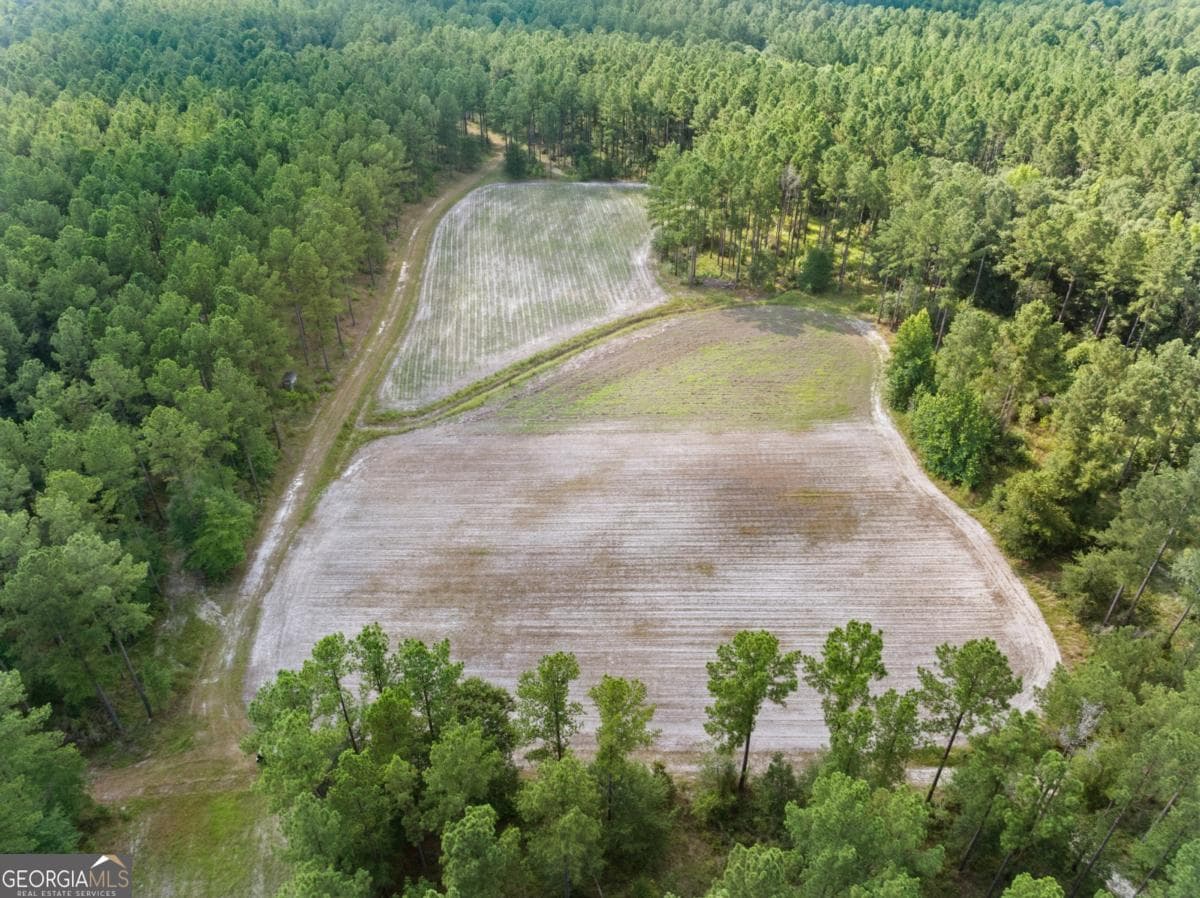 3 bedroom, 2 bathroom, 1,533 sq ft cabin,single family residence for sale at 13320 Sunbury Road, Claxton, GA 30417 — photo 7