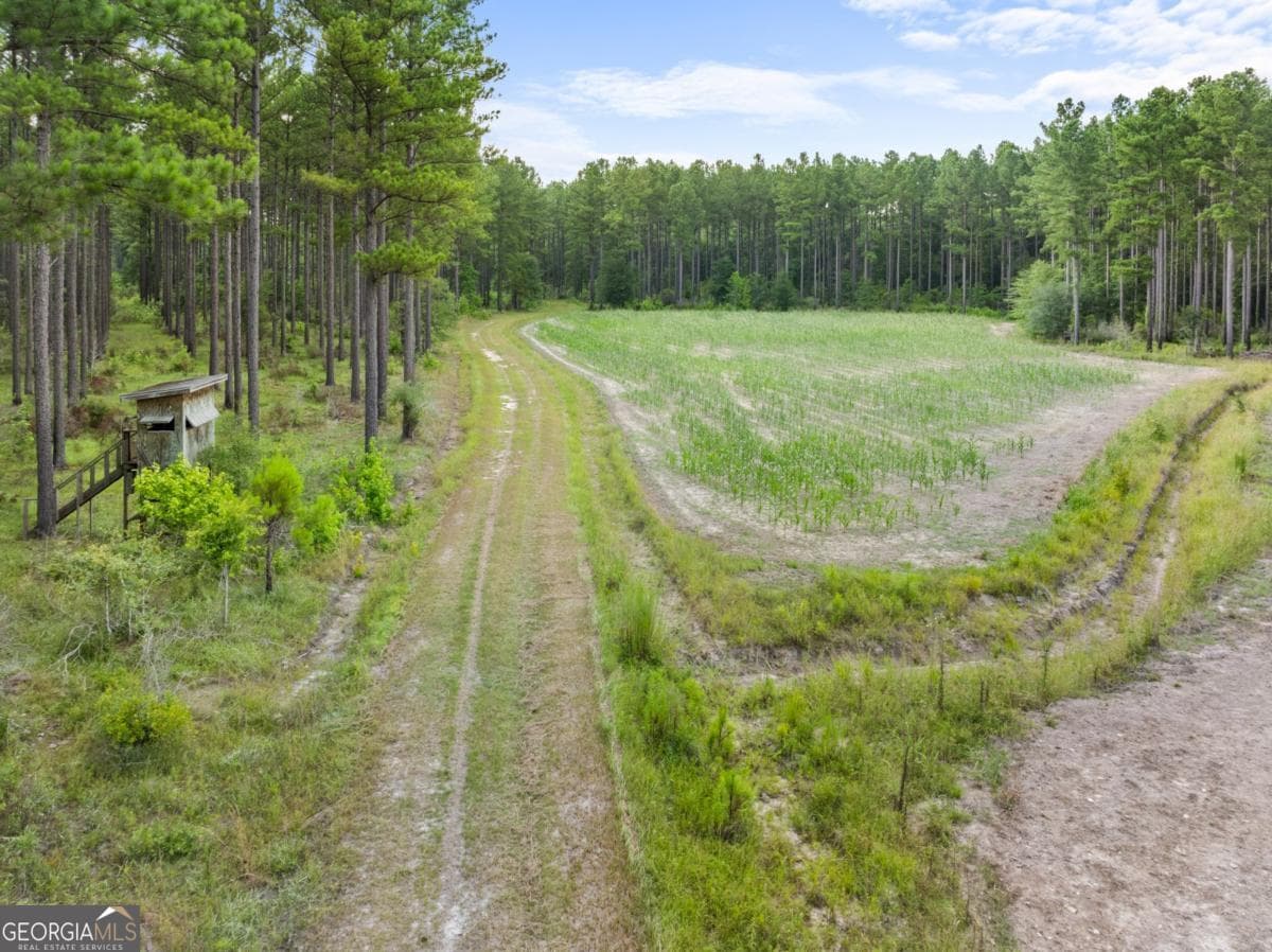 3 bedroom, 2 bathroom, 1,533 sq ft cabin,single family residence for sale at 13320 Sunbury Road, Claxton, GA 30417 — photo 8