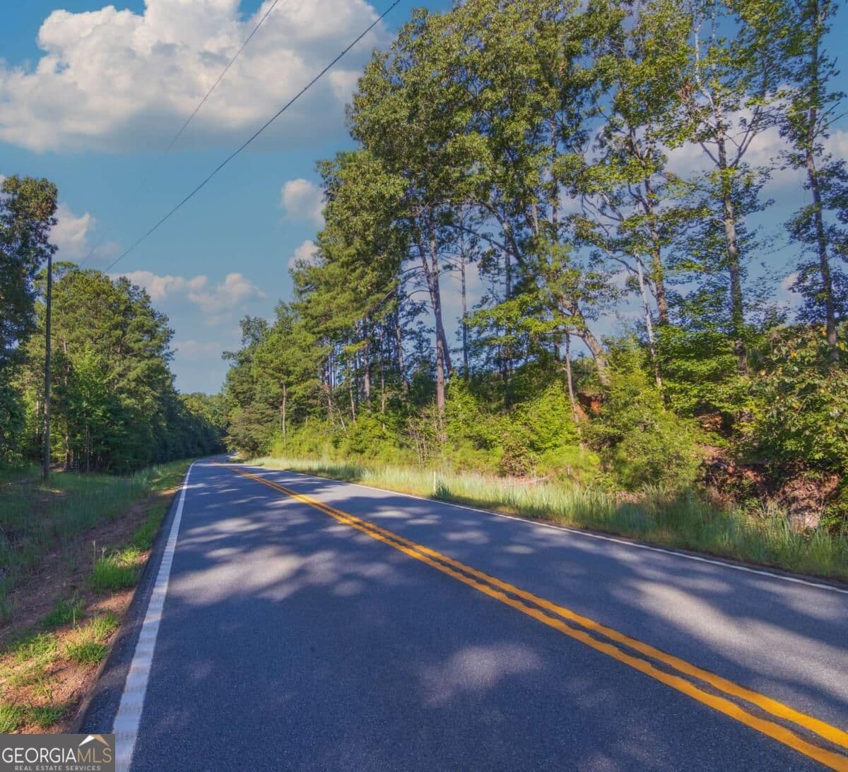 unimproved land for sale at TRACT 2 Highway 0036, Woodland, GA 31836 — photo 2