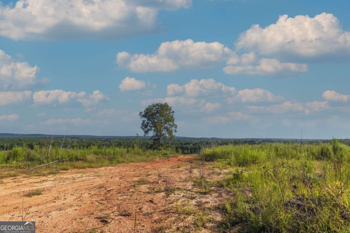 unimproved land for sale at TRACT 2 Highway 0036, Woodland, GA 31836 — photo 6