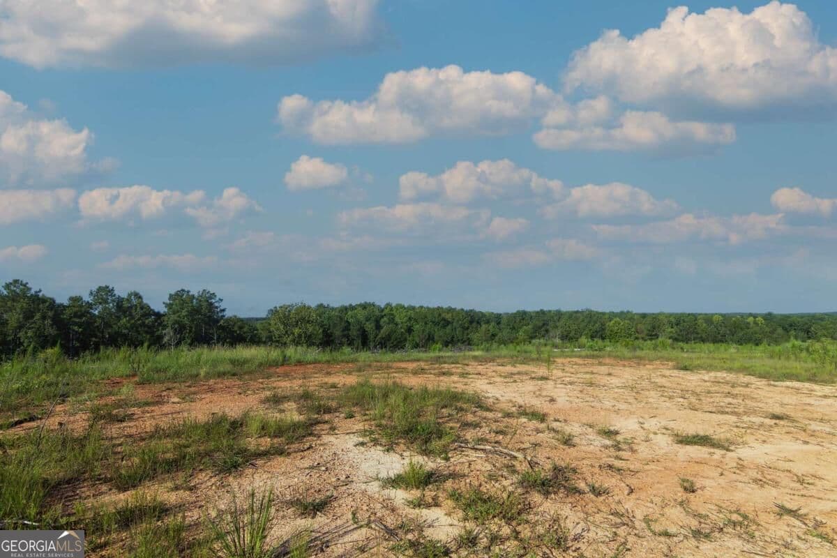 unimproved land for sale at TRACT 2 Highway 0036, Woodland, GA 31836 — photo 7