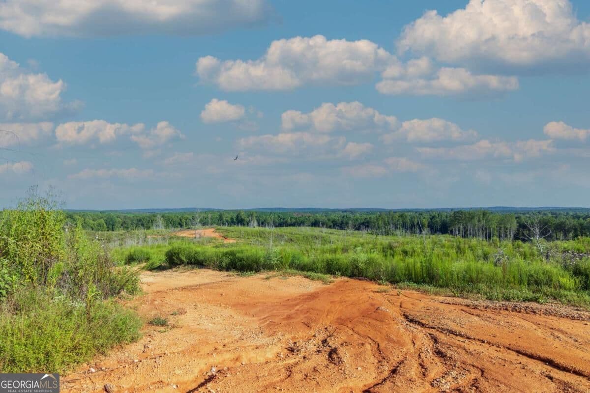 unimproved land for sale at TRACT 2 Highway 0036, Woodland, GA 31836 — photo 3