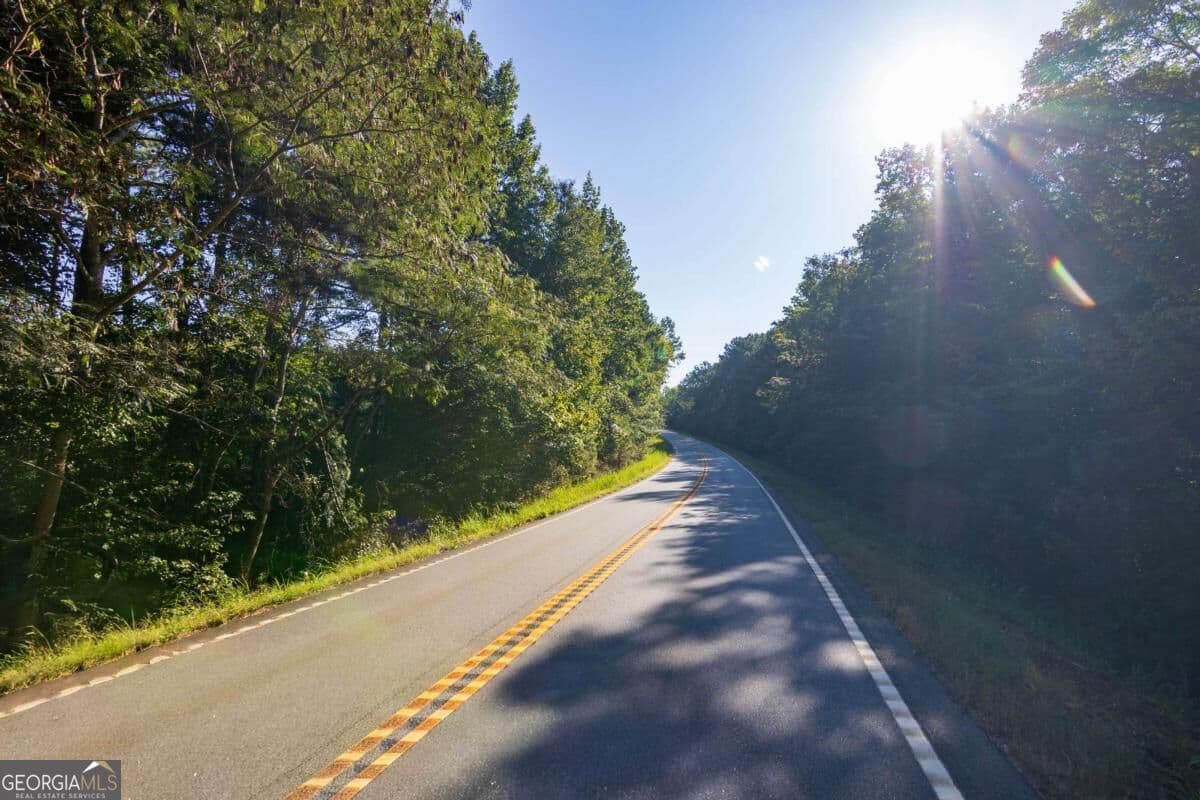 unimproved land for sale at TRACT 2 Highway 0036, Woodland, GA 31836
