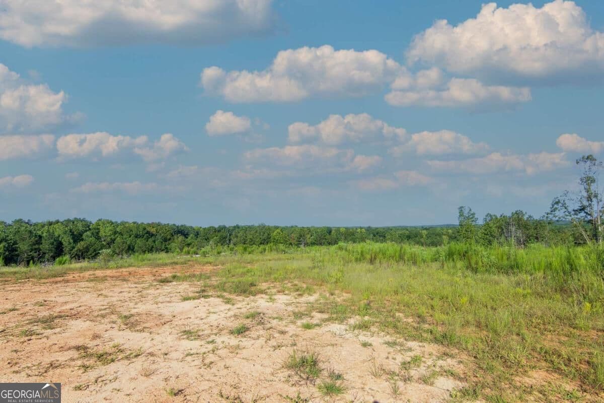 unimproved land for sale at TRACT 2 Highway 0036, Woodland, GA 31836 — photo 5