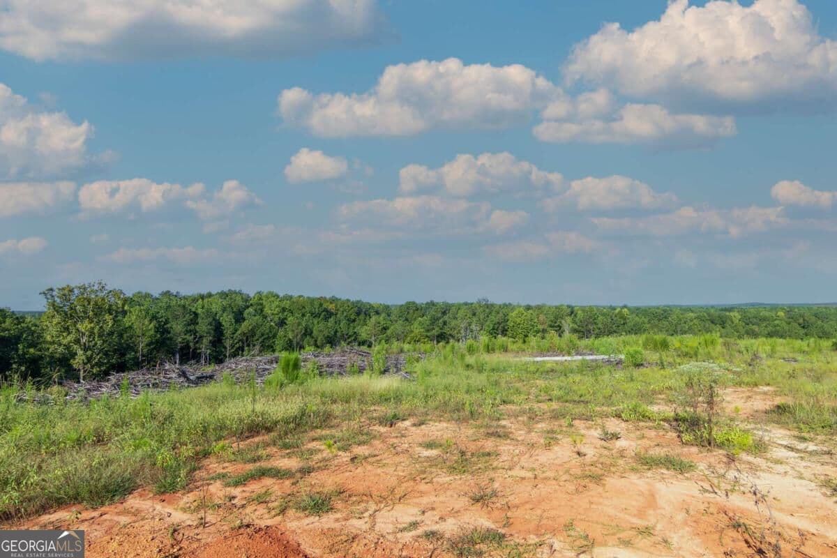unimproved land for sale at TRACT 2 Highway 0036, Woodland, GA 31836 — photo 9