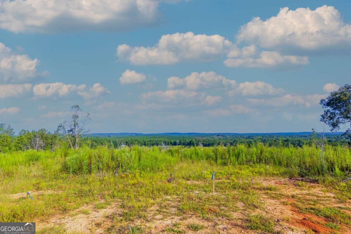 unimproved land for sale at TRACT 2 Highway 0036, Woodland, GA 31836 — photo 4