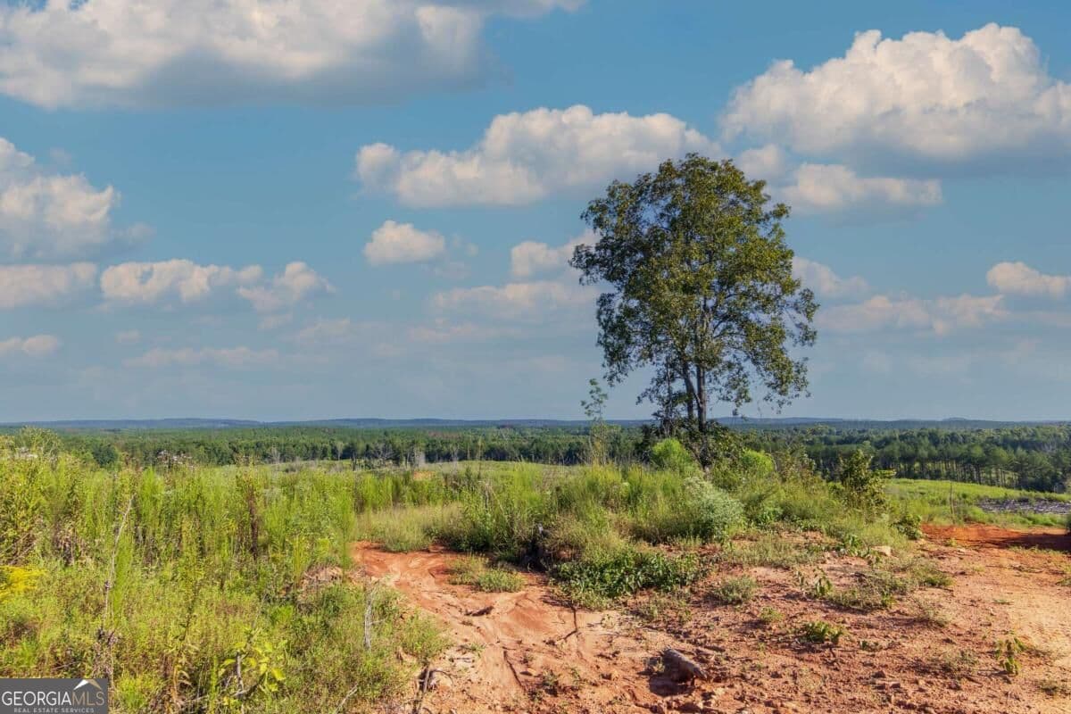 unimproved land for sale at TRACT 2 Highway 0036, Woodland, GA 31836 — photo 8