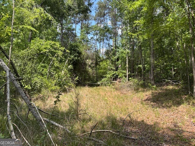 residential lot for sale at 2060 Glenn Falls, Grovetown, GA 30813 — photo 6