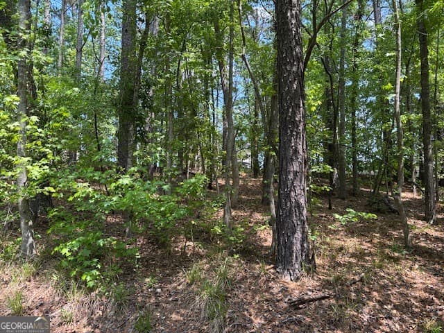residential lot for sale at 2060 Glenn Falls, Grovetown, GA 30813 — photo 7