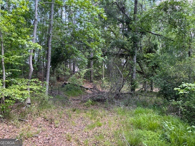 residential lot for sale at 2060 Glenn Falls, Grovetown, GA 30813 — photo 10