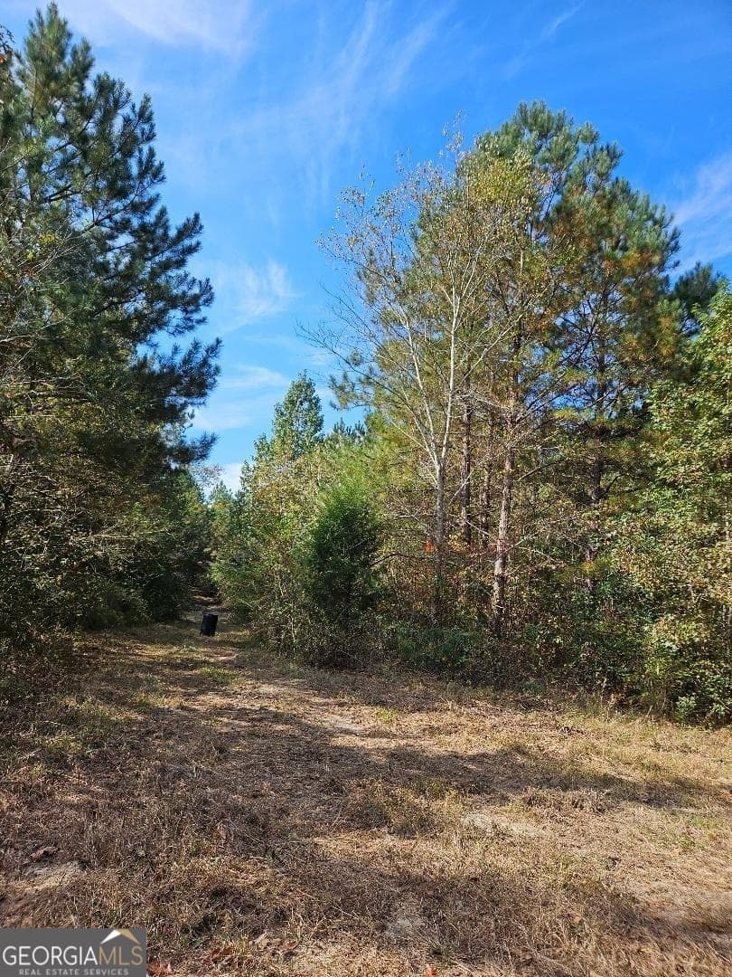 unimproved land for sale at 0 Fruit Farm Road, Summerville, GA 30747 — photo 2