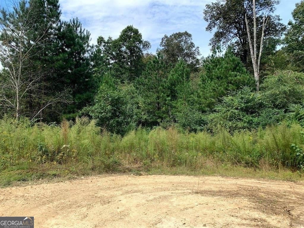 unimproved land for sale at 0 Fruit Farm Road, Summerville, GA 30747 — photo 3