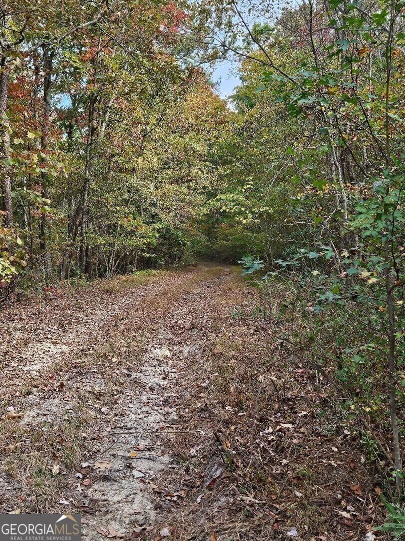 unimproved land for sale at 0 Fruit Farm Road, Summerville, GA 30747 — photo 1 of 4